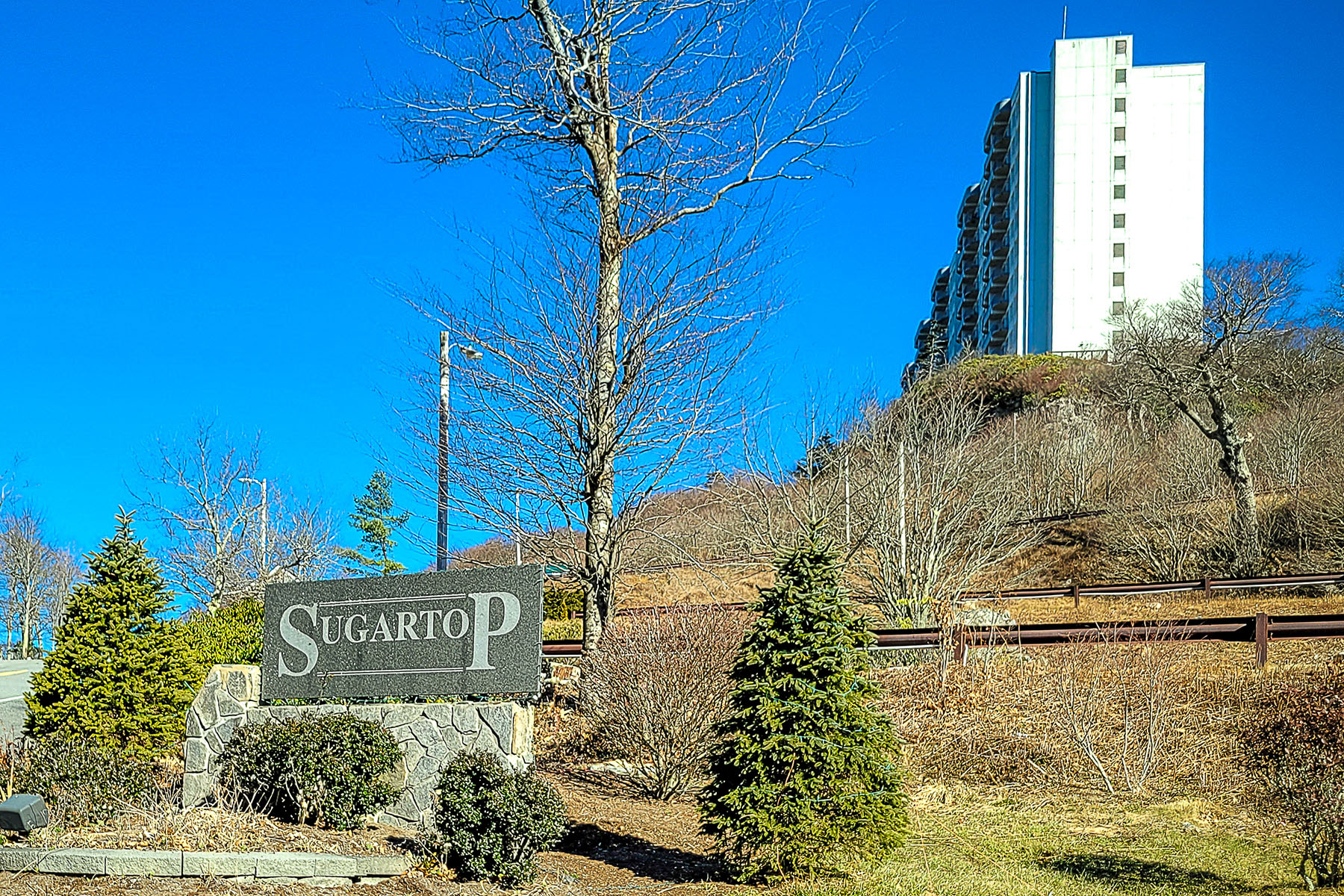  SUGAR TOP - 物件實景