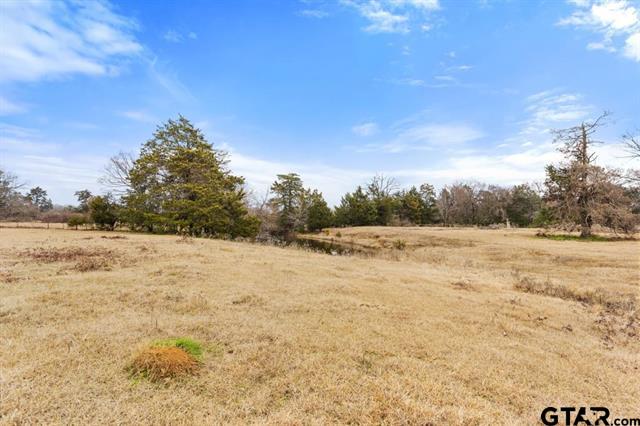 Van, Texas, 75790, United States, ,Land,For Sale,1981017