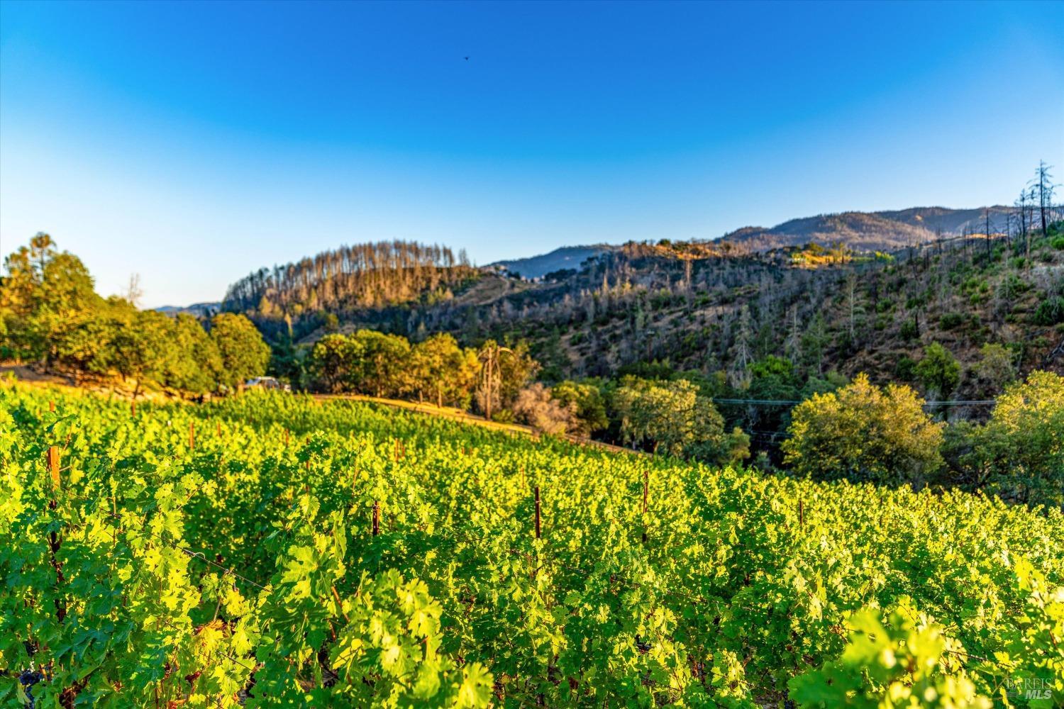 St. Helena, California, 94574, United States, 5 Bedrooms Bedrooms, ,6 BathroomsBathrooms,Residential,For Sale,1708621
