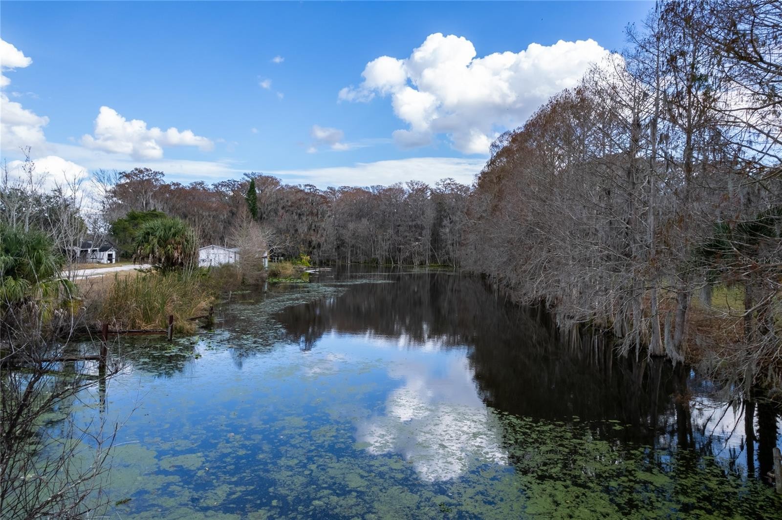 1515 US HIGHWAY 441, TAVARES, Florida, 32778, United States, ,Residential,For Sale,1515 US HIGHWAY 441,1008676