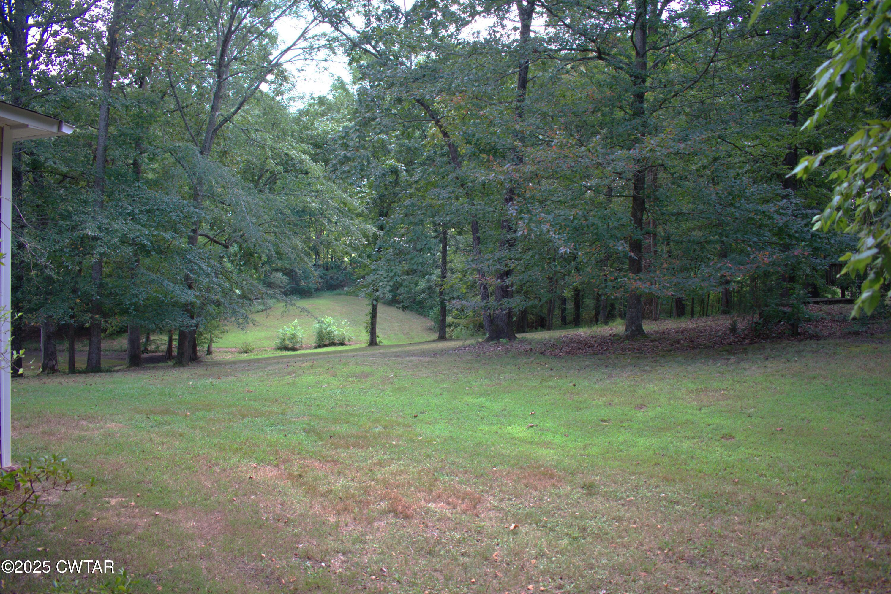 Beech Bluff, Tennessee, 38313, United States, 5 Bedrooms Bedrooms, ,5 BathroomsBathrooms,Residential,For Sale,1916830