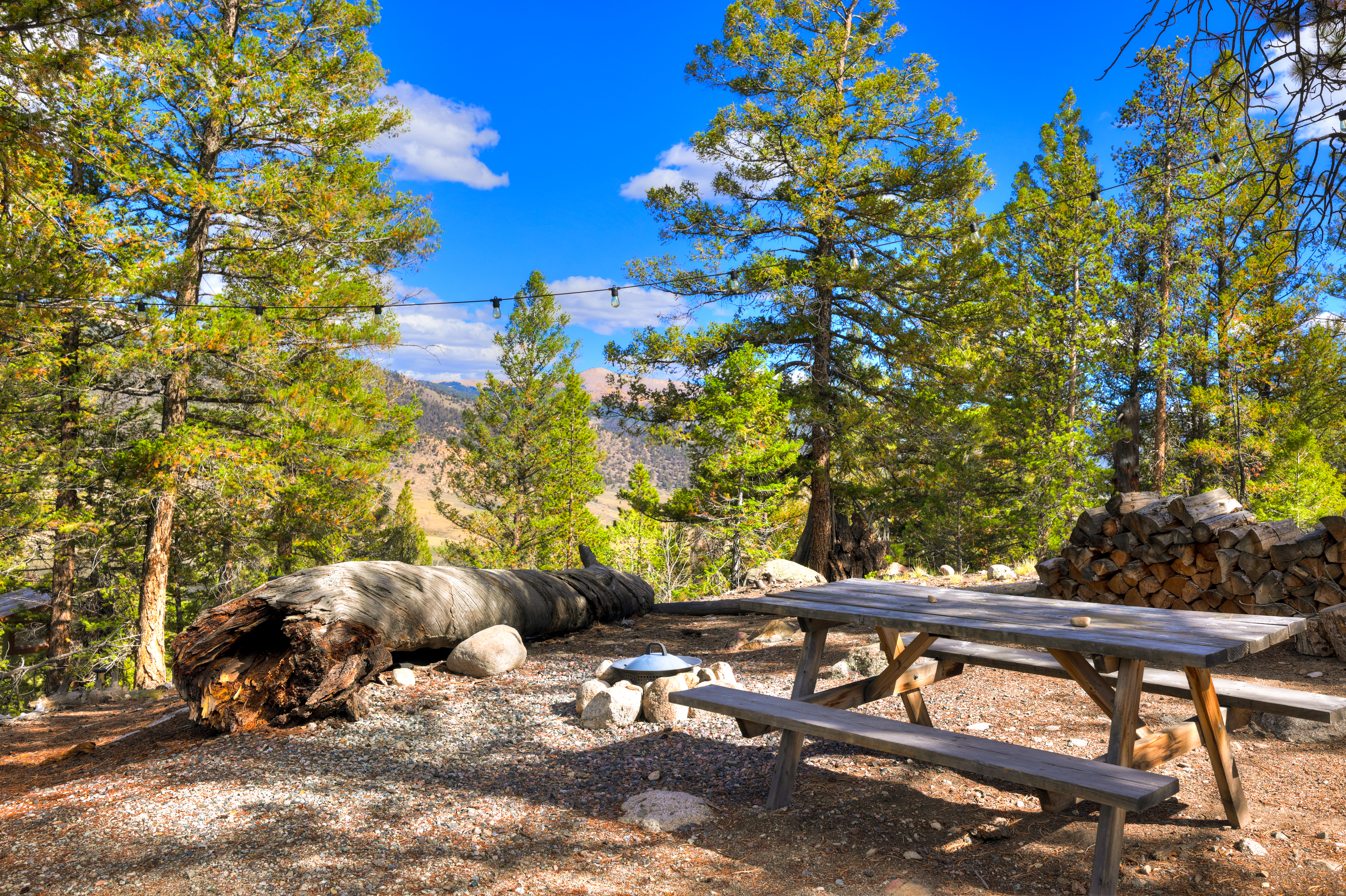  501 Reva Ridge Road, Twin Lakes, CO, 81251 - 物件實景