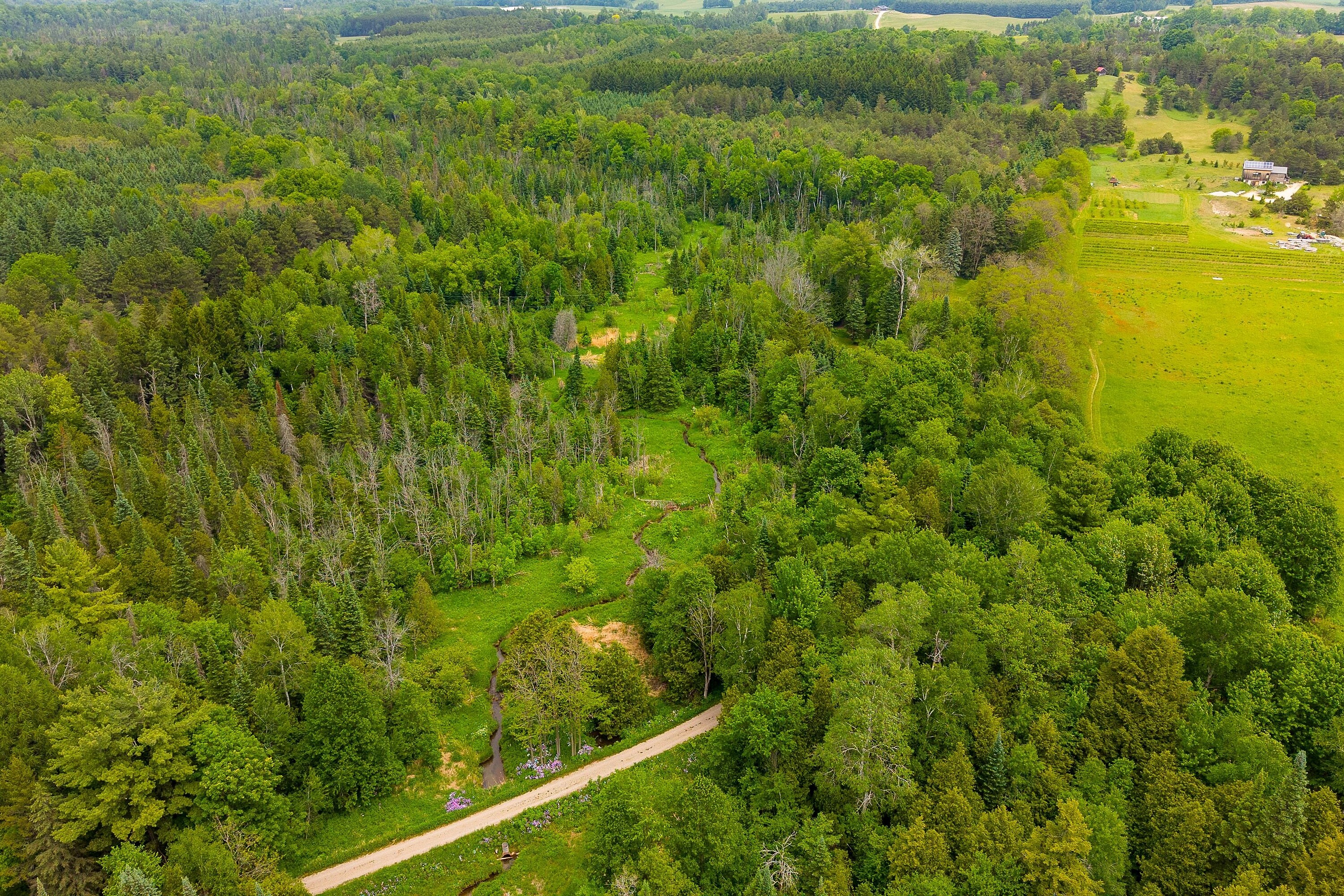  33 Acre Country Retreat - 物件實景