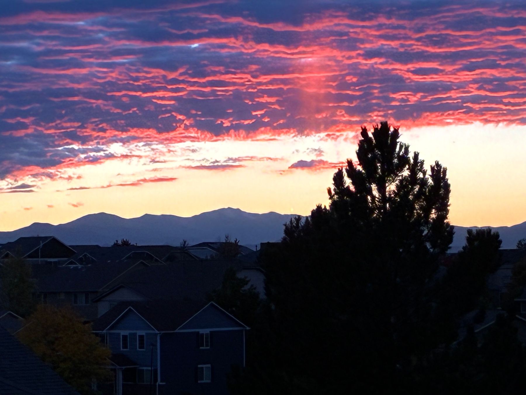  Low-maintenance living in a beautifully designed layout - 物件實景