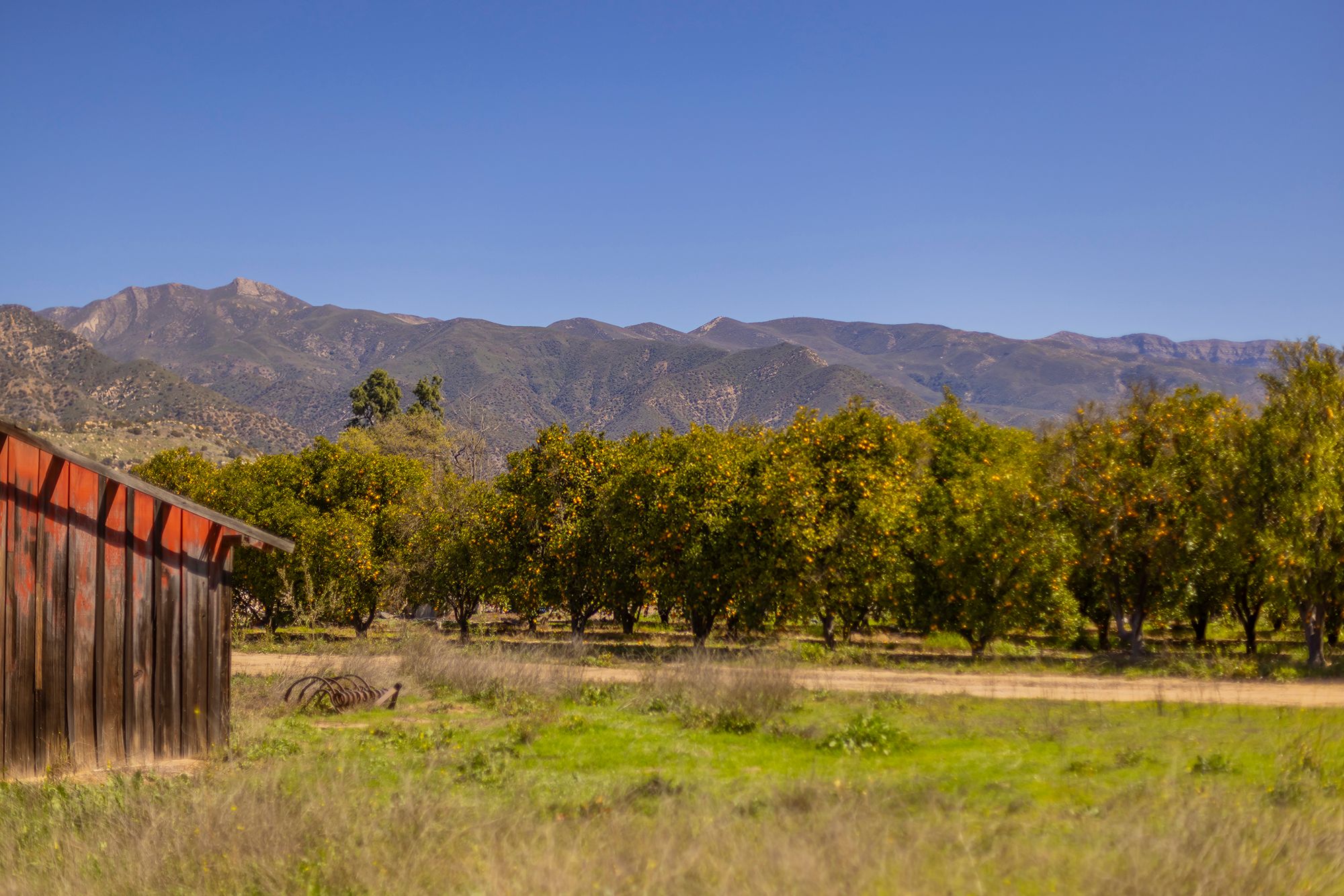  1201 Grand Avenue, Ojai, CA 93023 - 物件實景