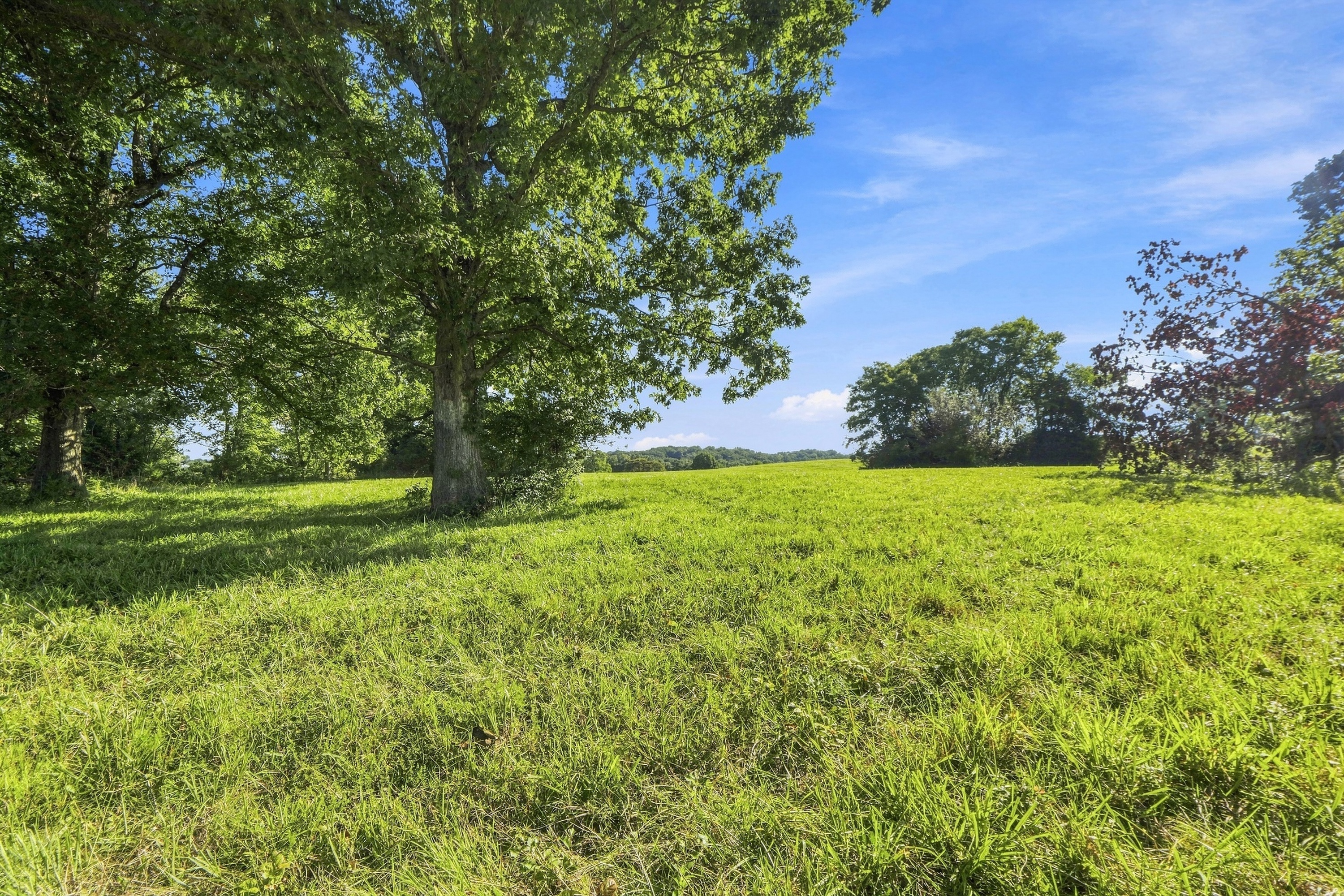  Tract 2 Ballard School Road, La Grange, KY 40031 - 物件實景