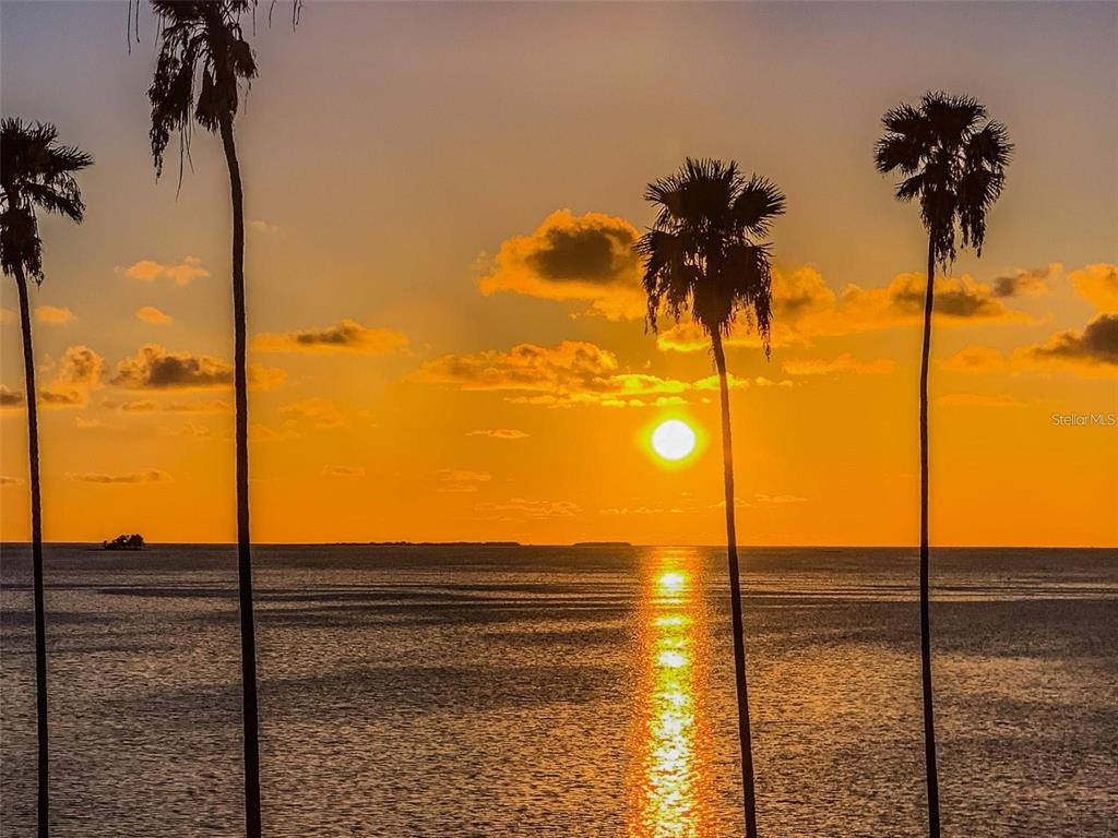 Crystal Beach, Florida, 34681, United States, 3 Bedrooms Bedrooms, ,3 BathroomsBathrooms,Residential,For Sale,1992946