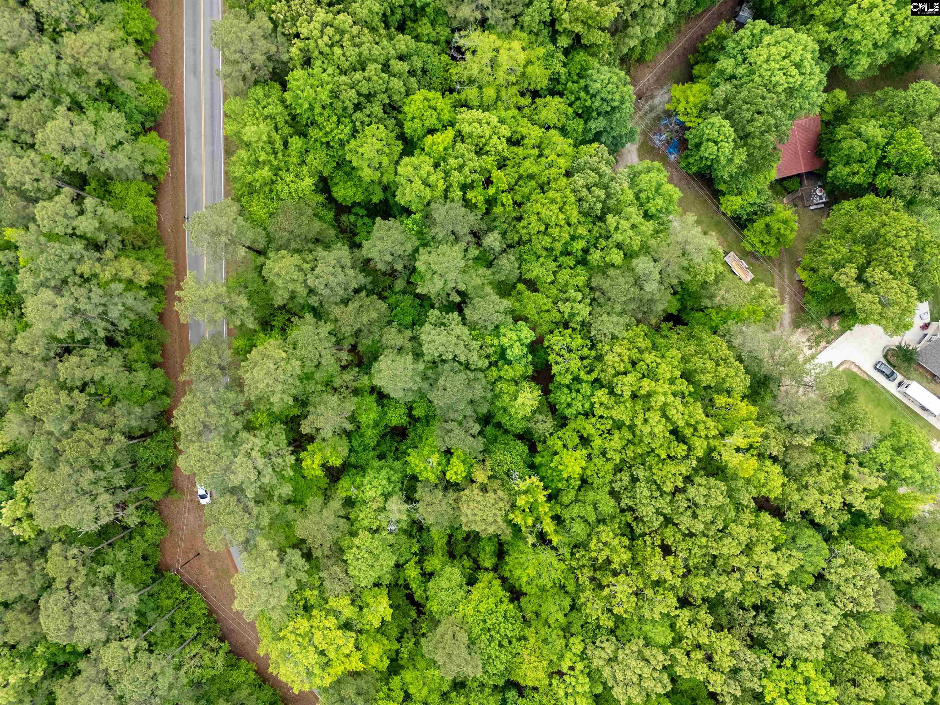  1427- Buck Hill Landing Road  Ridgeway, SC - 物件實景
