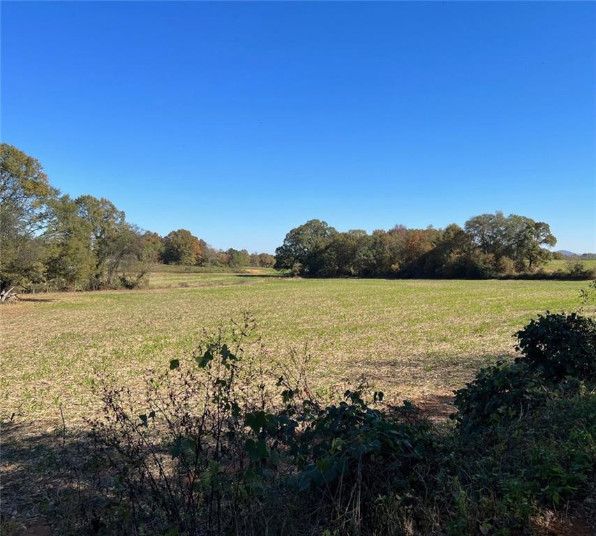 Taylorsville, Georgia, 30178, United States, ,Land,For Sale,1795283