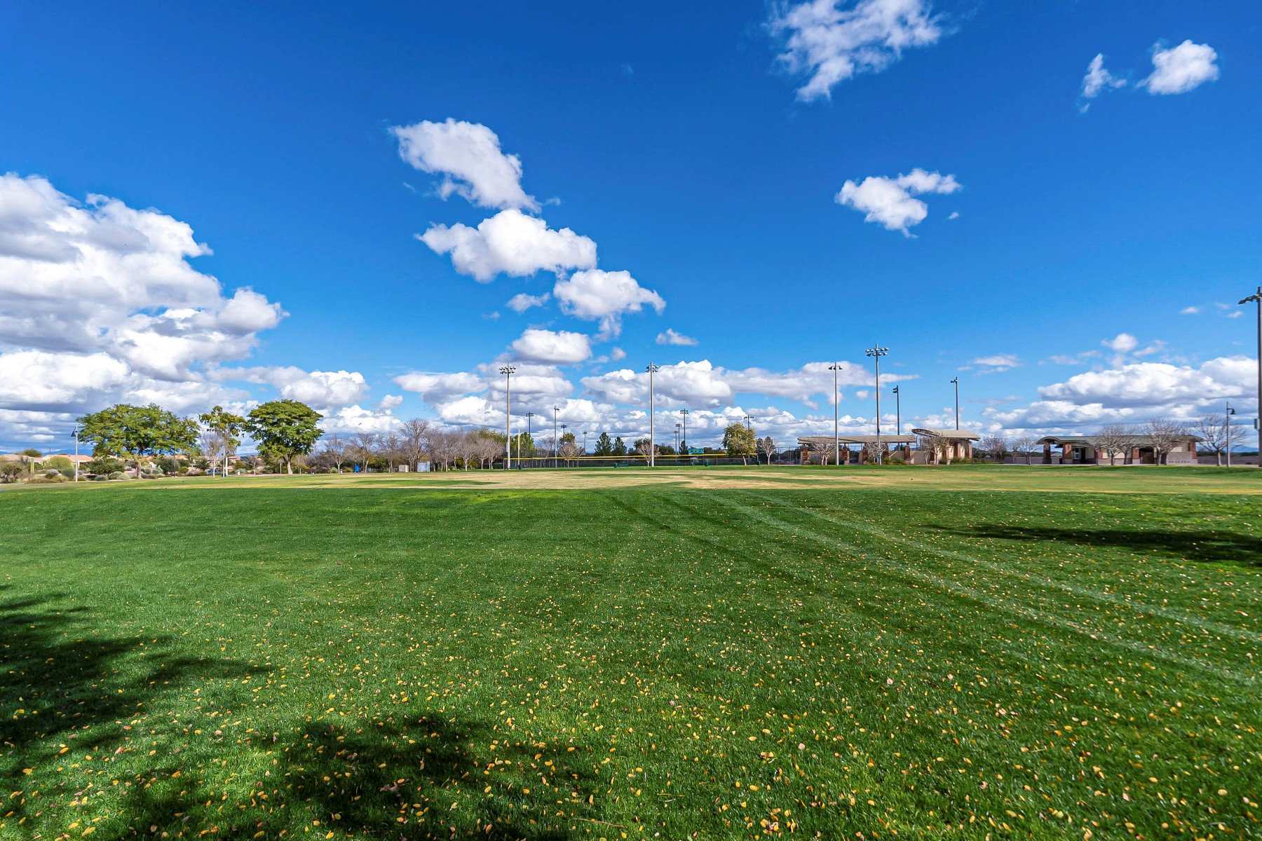  6069 W Estancia Way  Florence, AZ - 物件實景