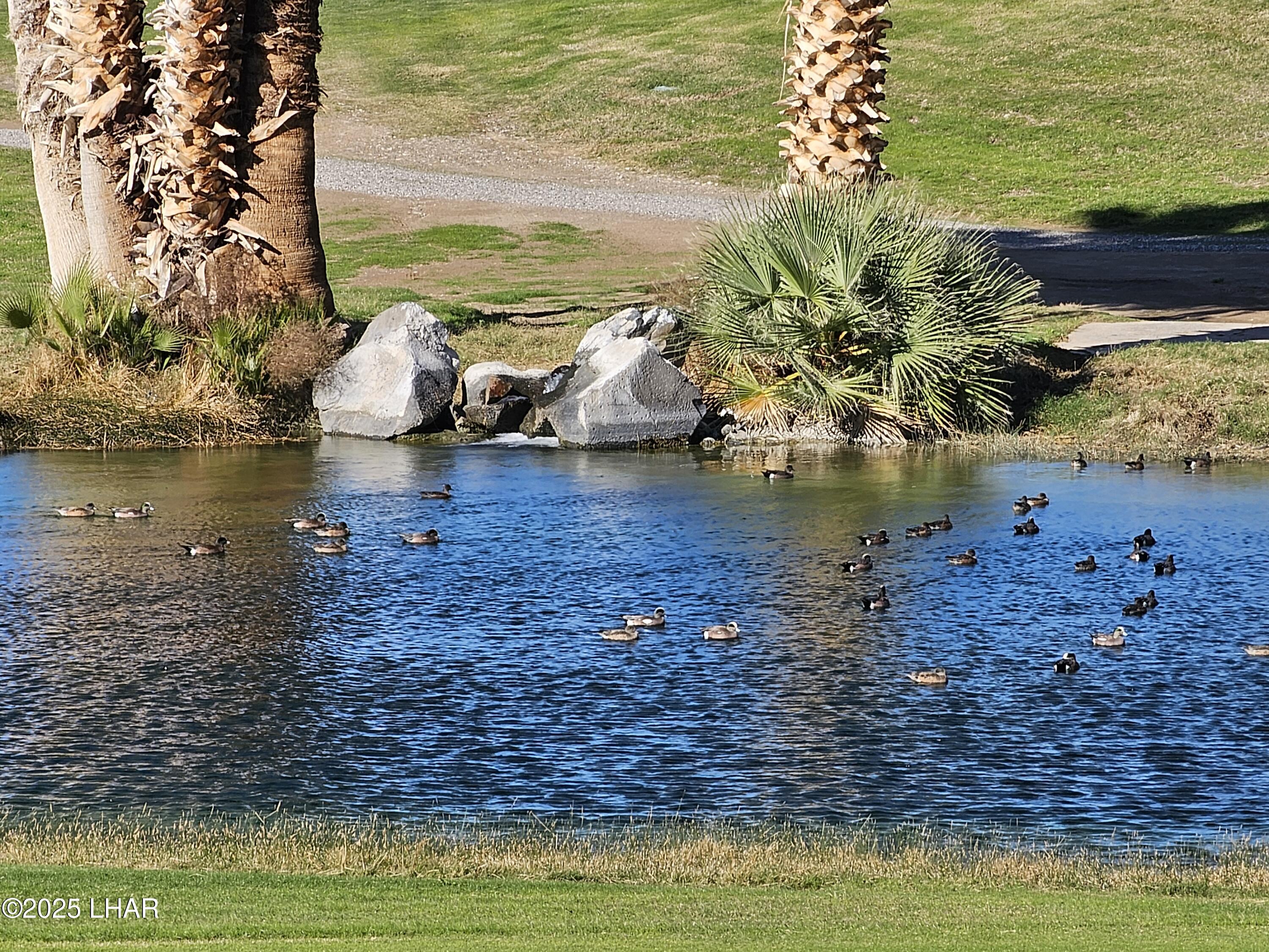 Lake Havasu City, Arizona, 86403, United States, 2 Bedrooms Bedrooms, ,3 BathroomsBathrooms,Residential,For Sale,2001999