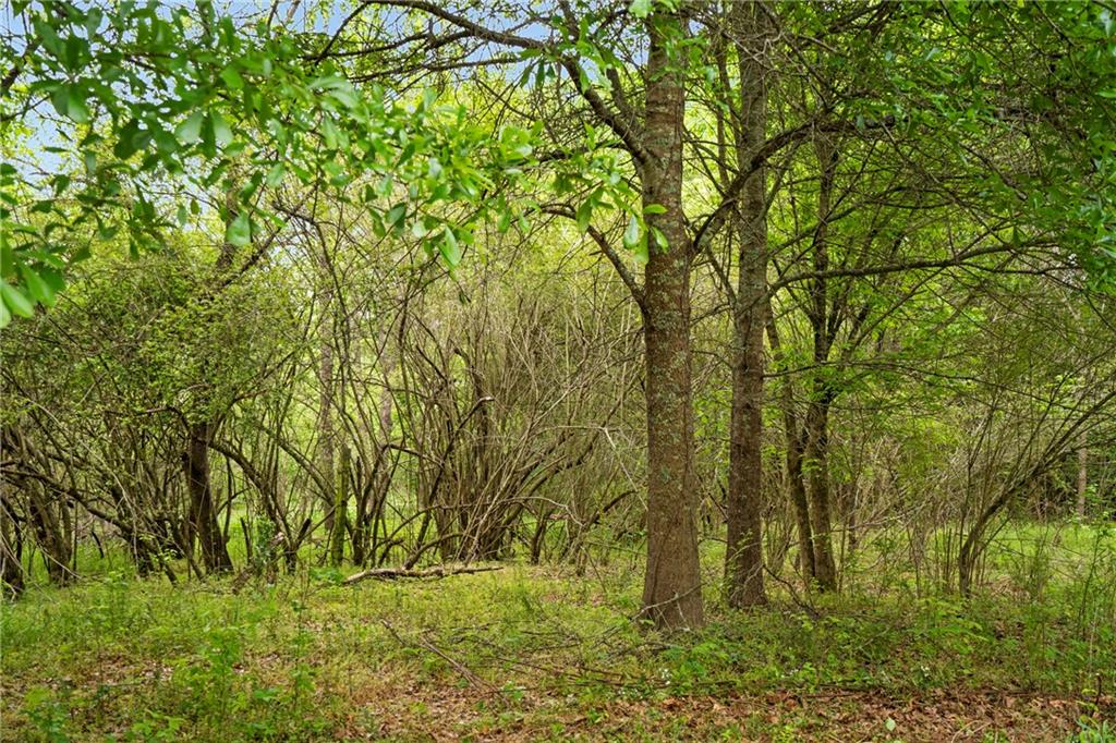 Alpharetta, Georgia, 30004, United States, ,Land,For Sale,1793114