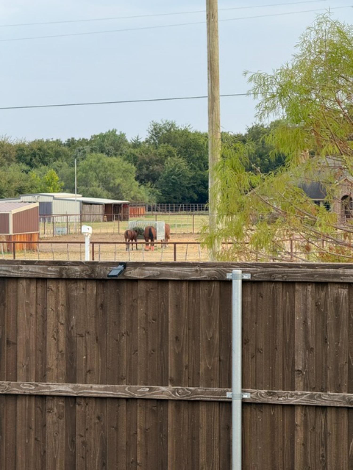  320 Sculptors Crossing, Springtown, TX, 76082 - 物件實景