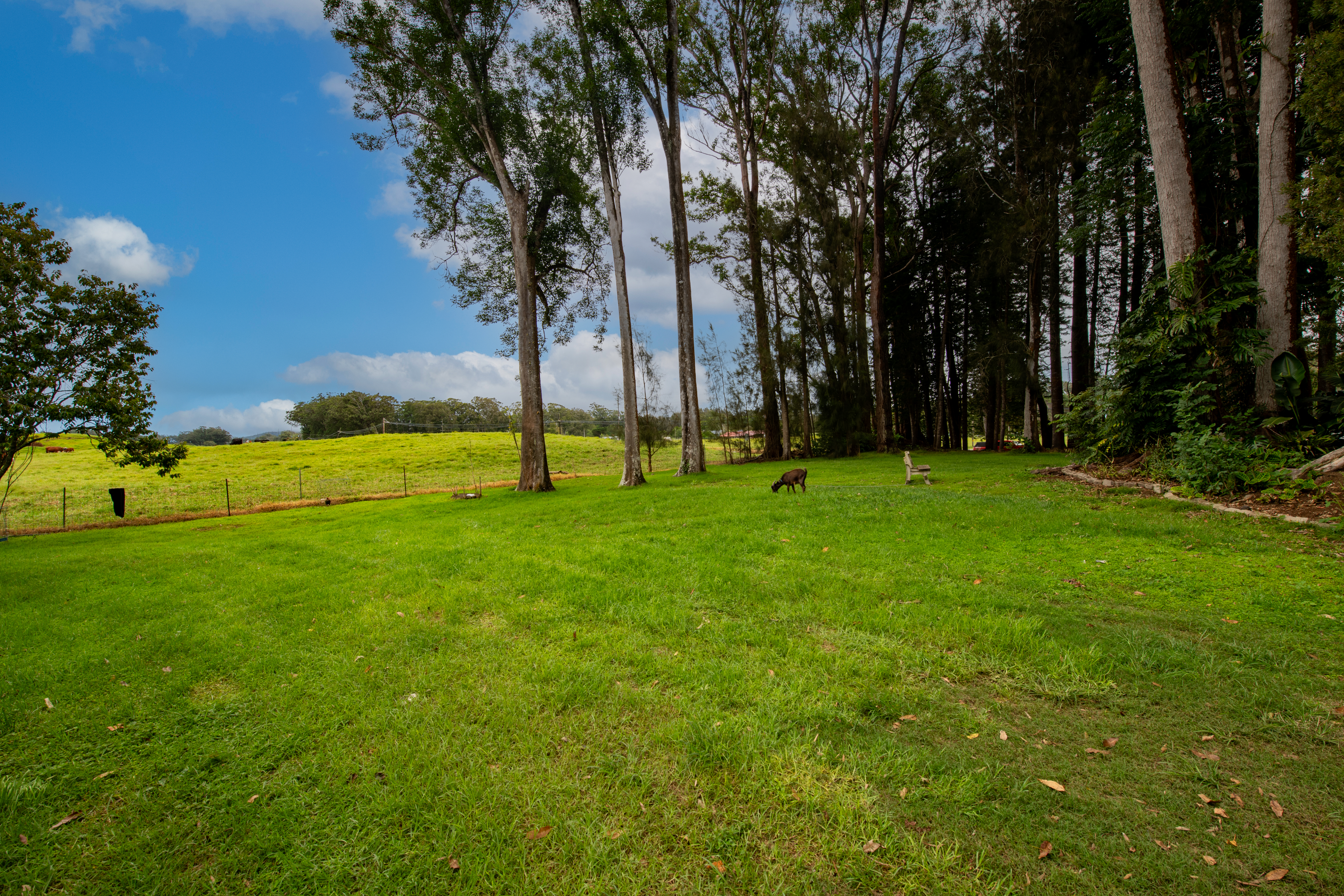  64-149 Mamalahoa Highway, Kamuela, HI, 96743 - 物件實景