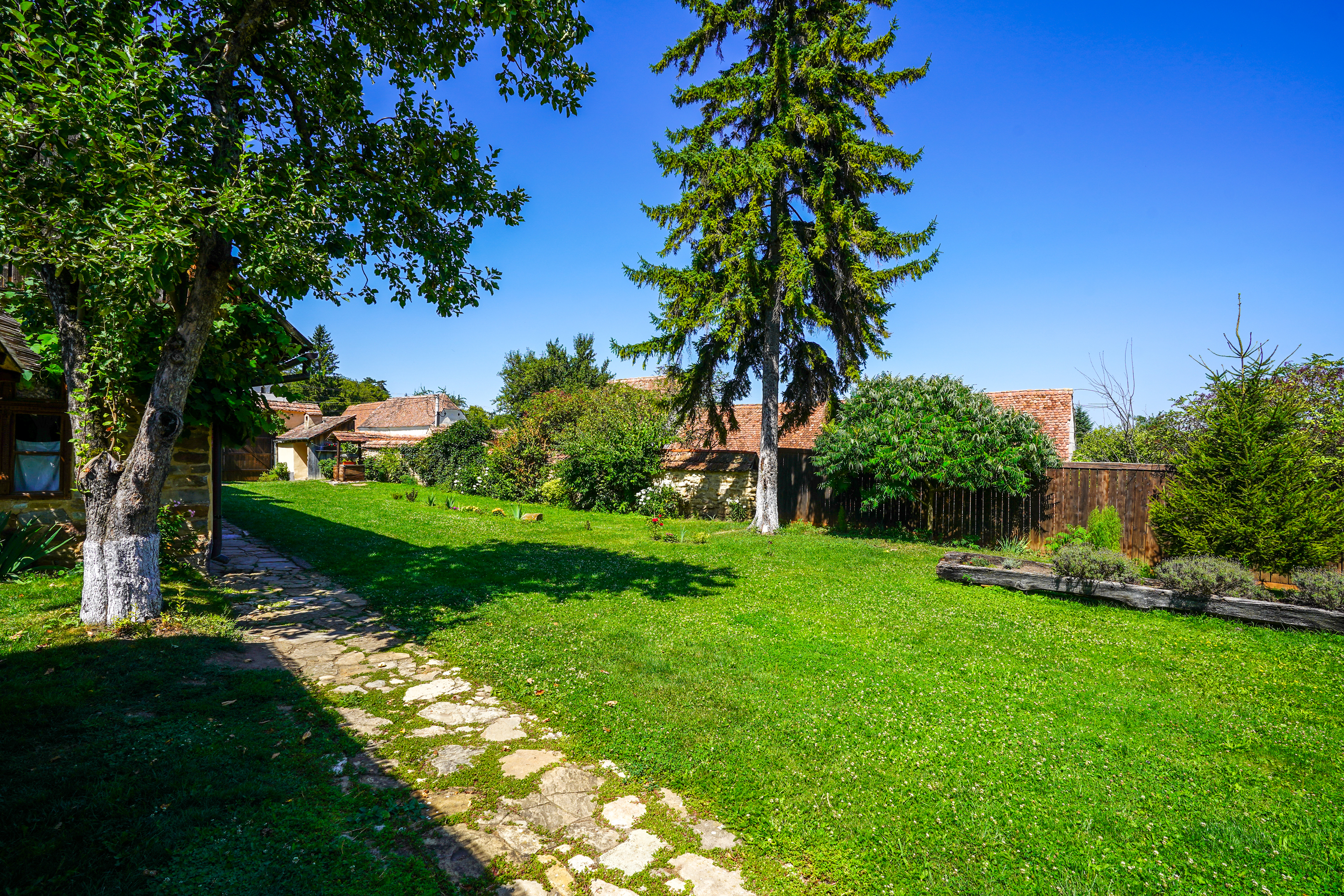  Restored Authentic Saxon House in Viscri, Between Heritage and Nature - 物件實景