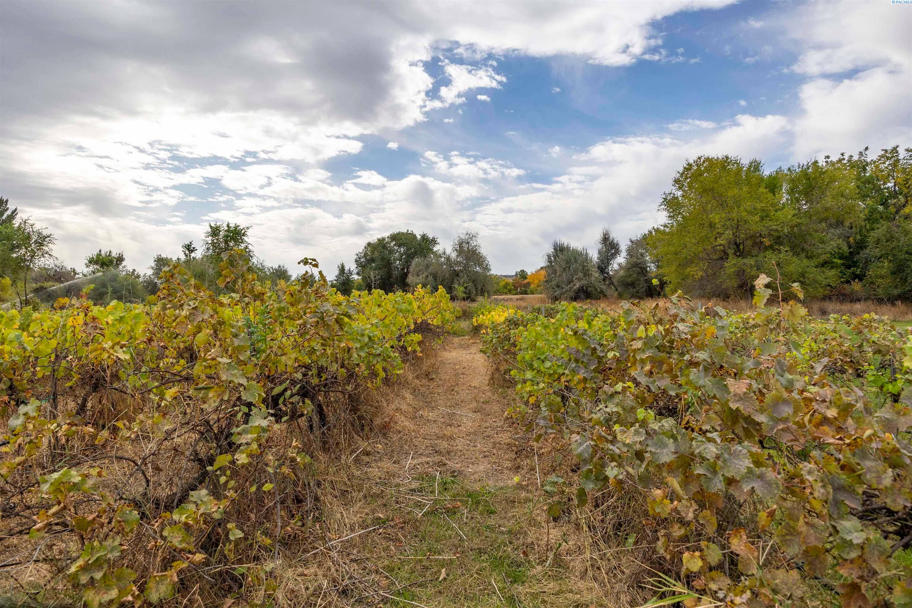 Richland, Washington, 99354, United States, 3 Bedrooms Bedrooms, ,2 BathroomsBathrooms,Residential,For Sale,1978459