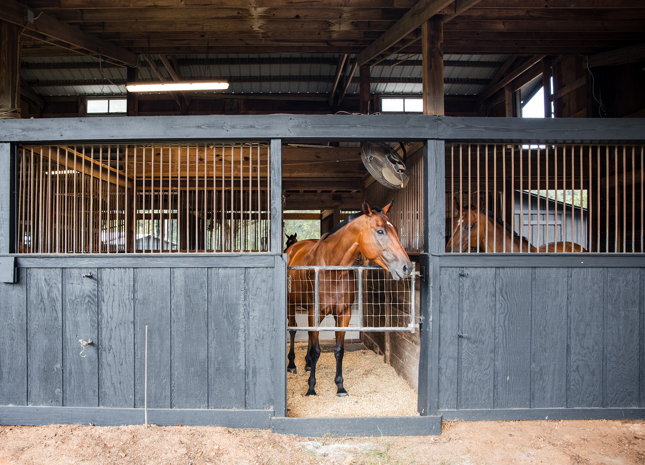  Rare Equestrian Facility with Prestigious Address - 物件實景
