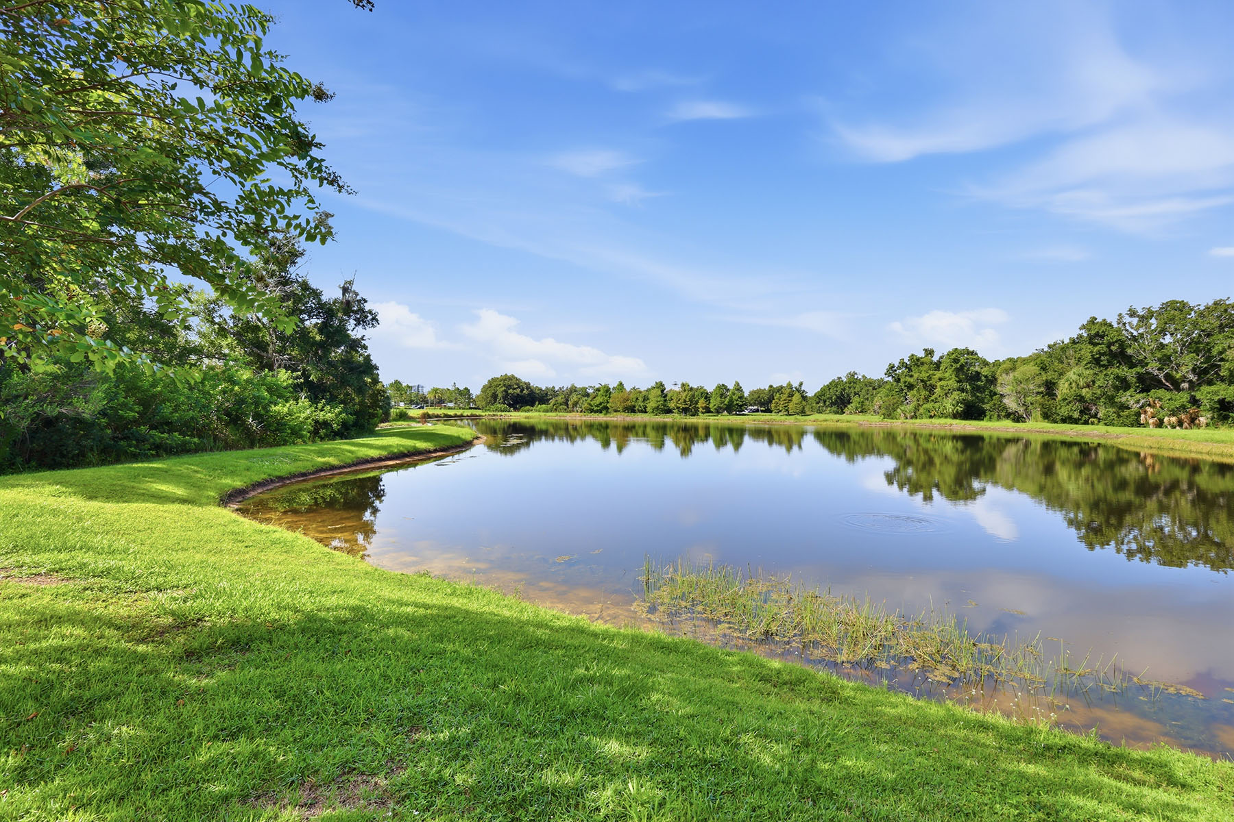  HARMONY AT LAKEWOOD RANCH PH II-C 1-4 - 物件實景