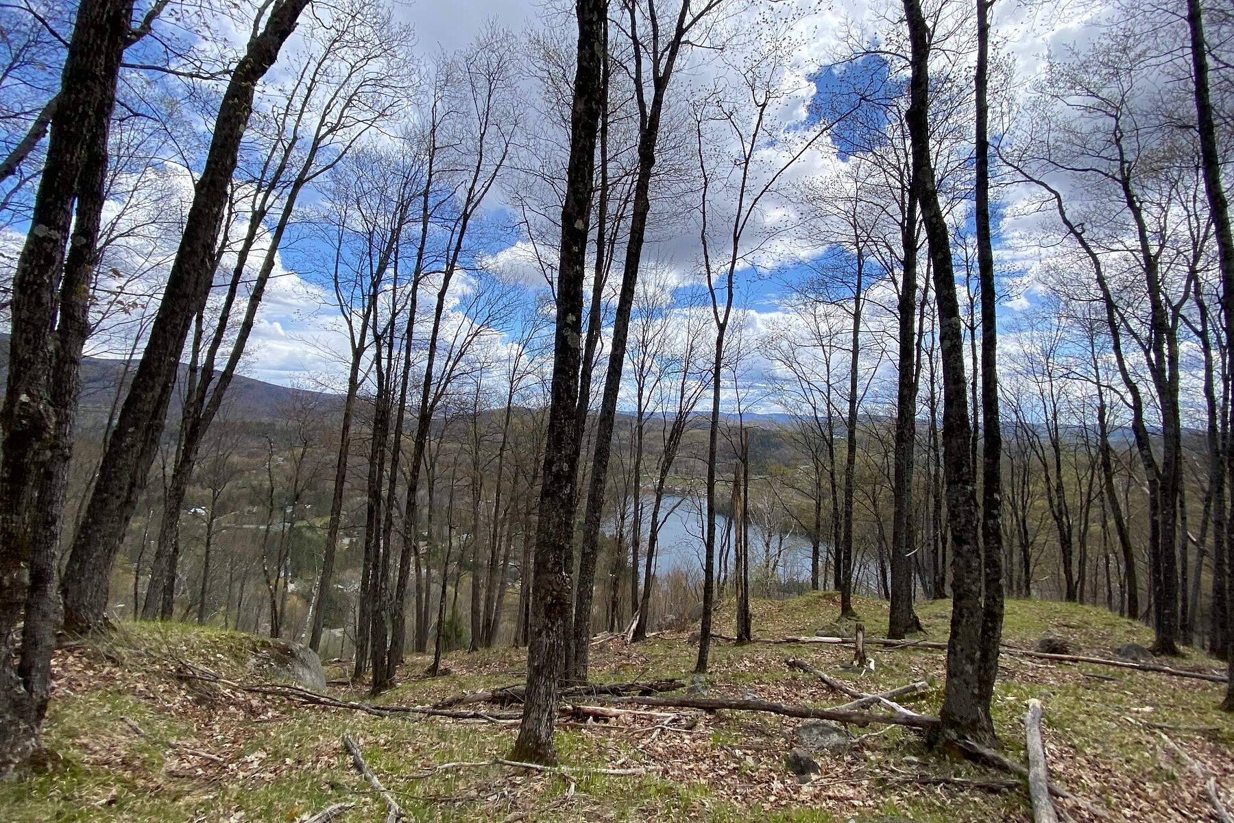  Mont-Tremblant, Laurentides - 物件實景