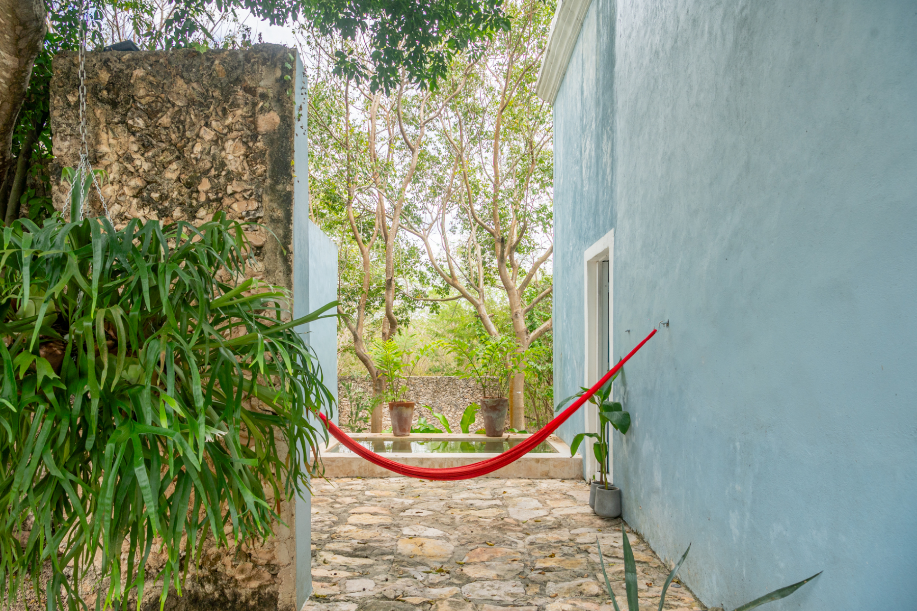  HACIENDA SERENITY OASIS RETREAT IN YUCATAN - 物件實景