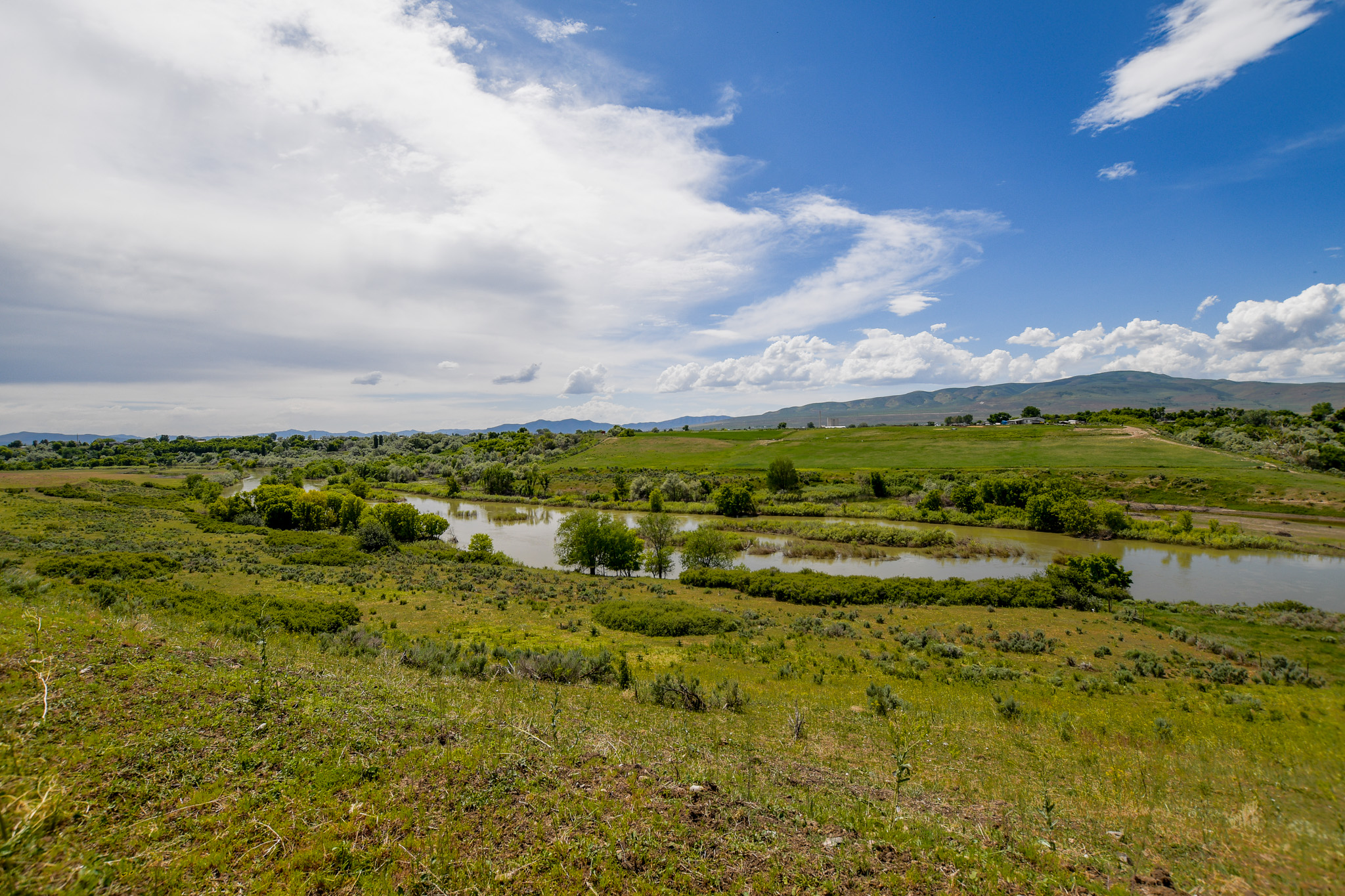 Deweyville, Utah, 84309, United States, ,Land,For Sale,1848401