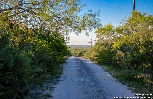 Beeville, Texas, 78102, United States, ,Land,For Sale,1988302