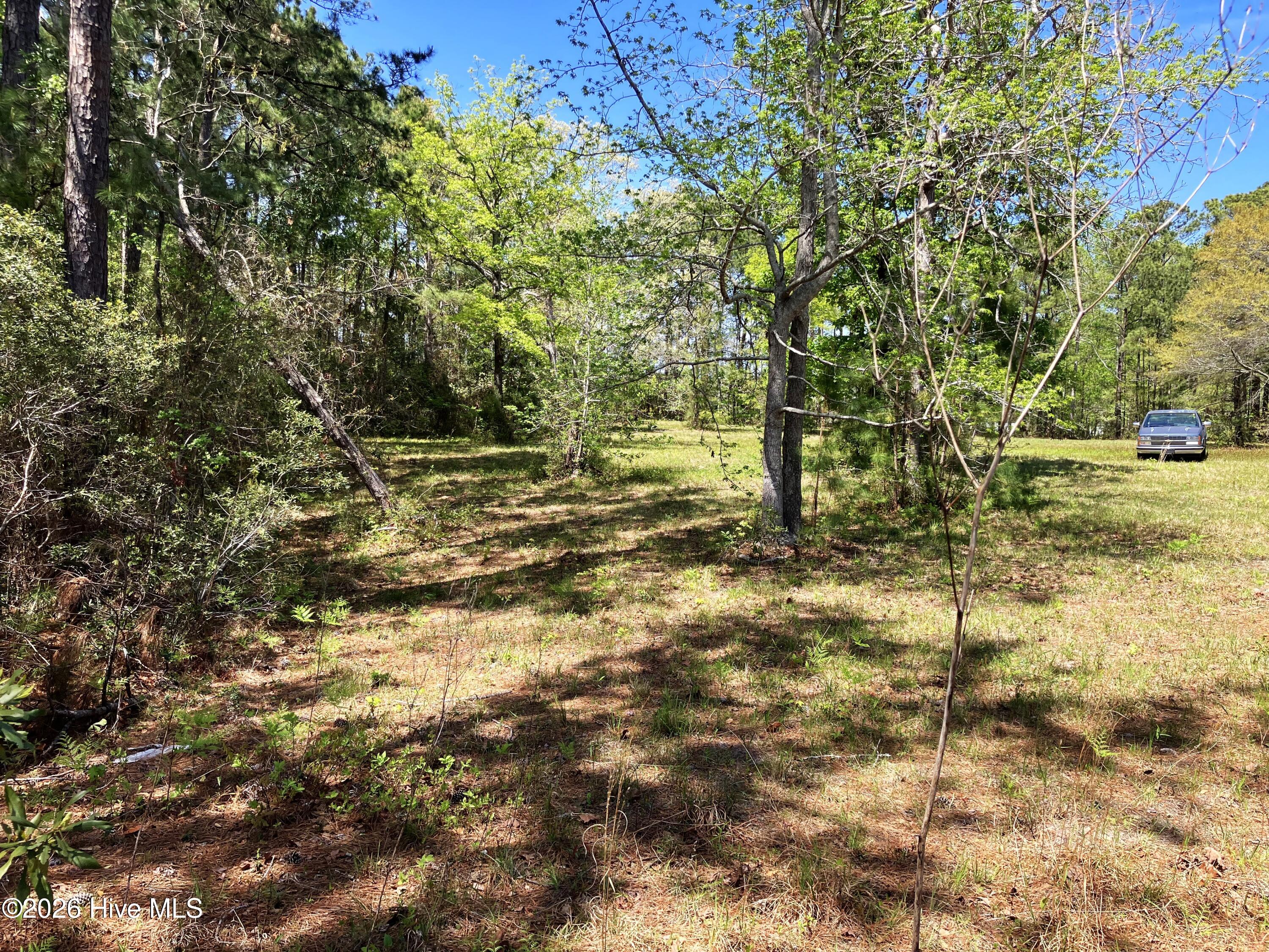Havelock, North Carolina, 28532, United States, ,Land,For Sale,2035348