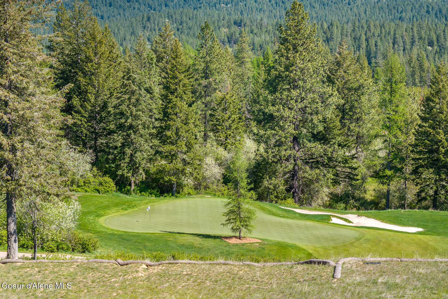 Coeur d'Alene, Idaho, 83814, United States, ,Land,For Sale,1975112