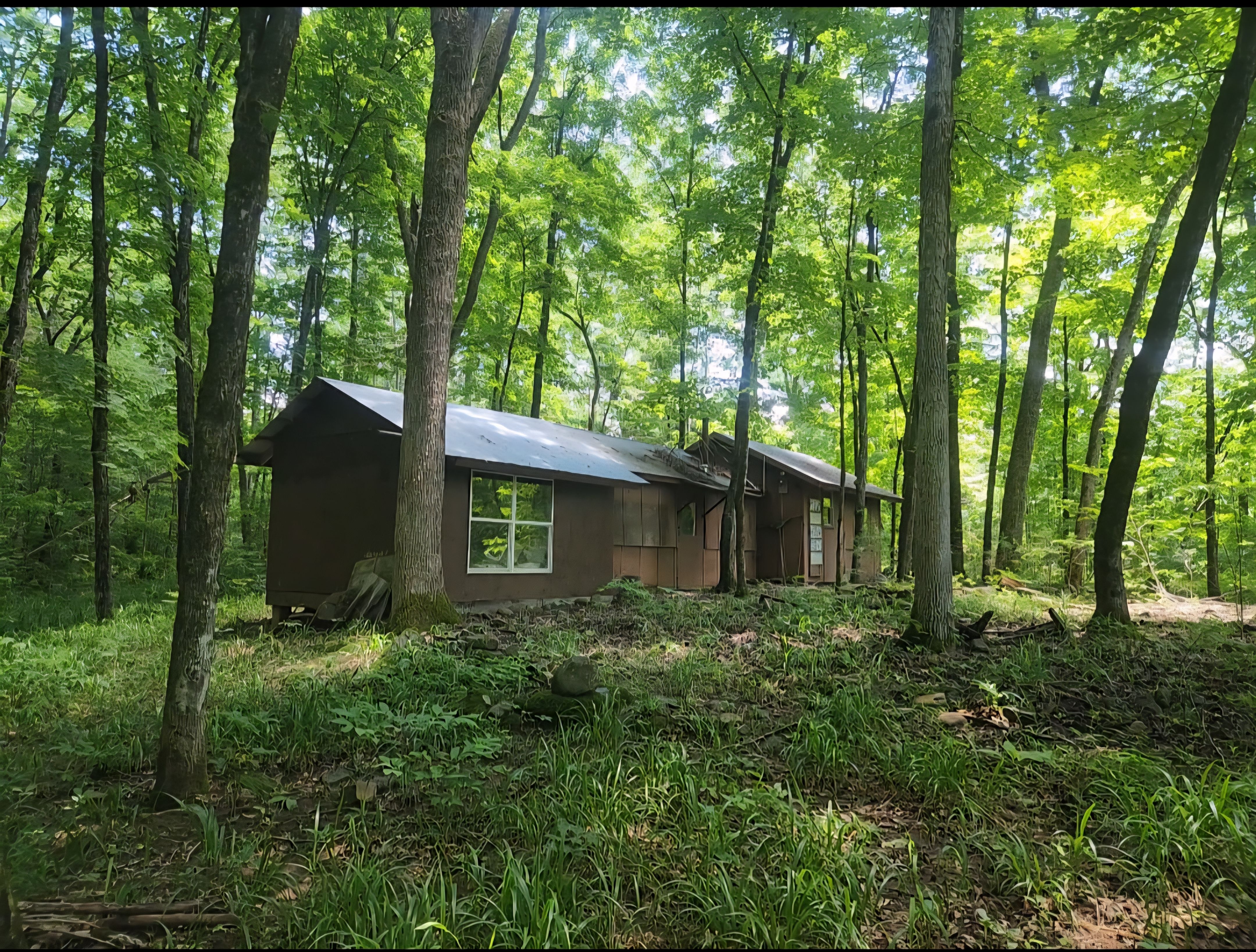 Pettigrew, Arkansas, 72752, United States, 5 Bedrooms Bedrooms, ,4 BathroomsBathrooms,Residential,For Sale,1826540