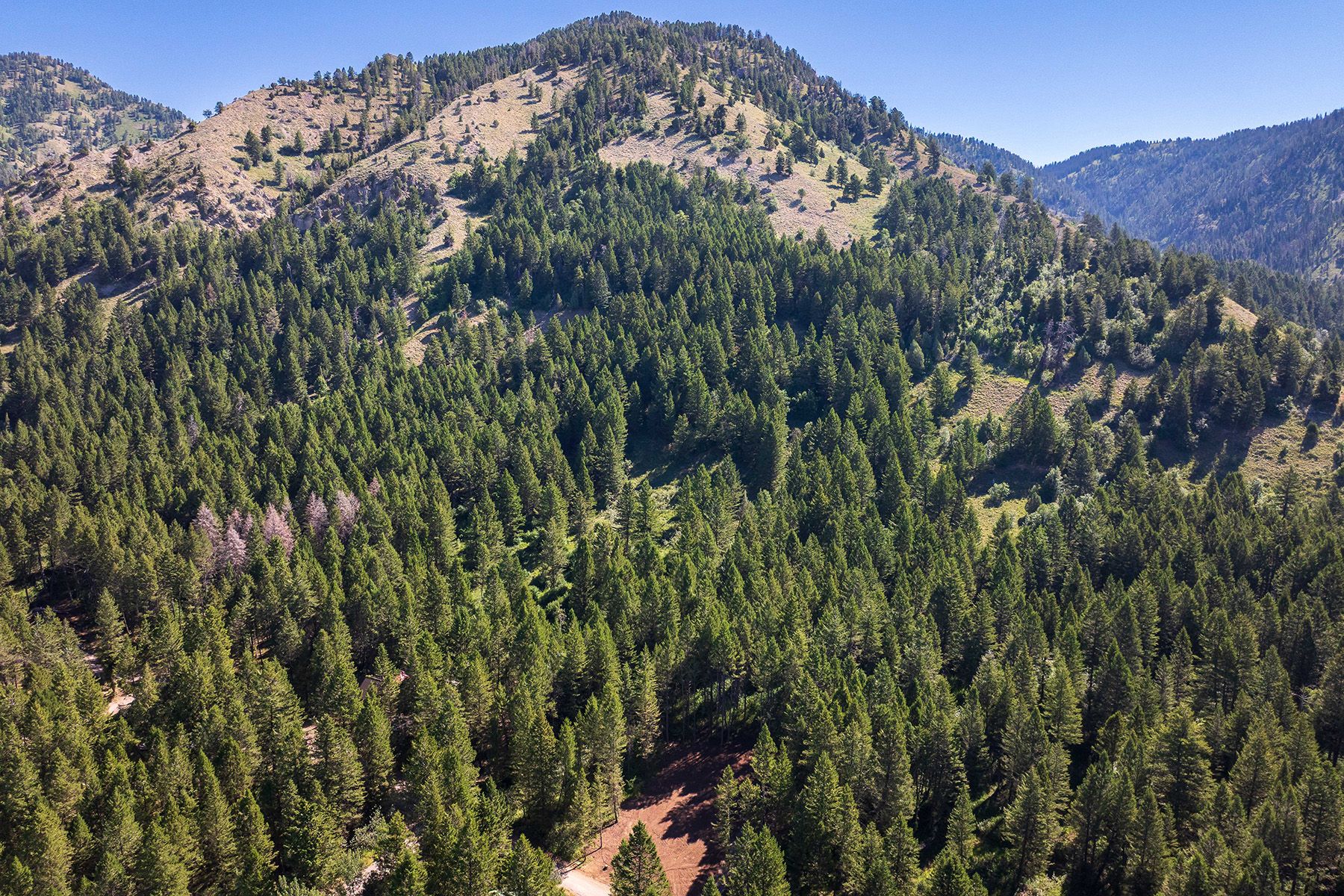  Star Valley Ranch Lot - 物件實景