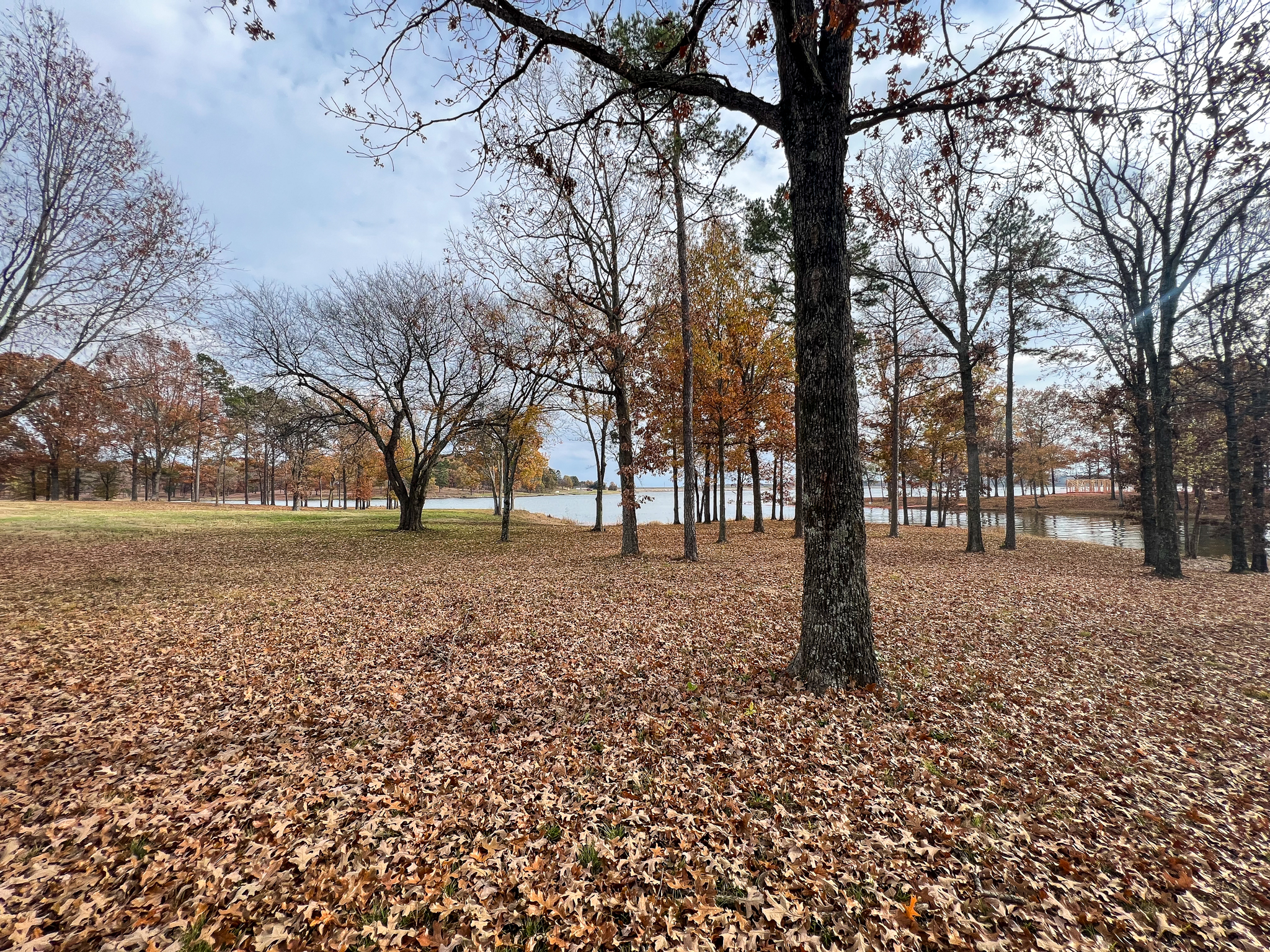 Mt Vernon, Texas, 75457, United States, ,Residential,For Sale,1943177