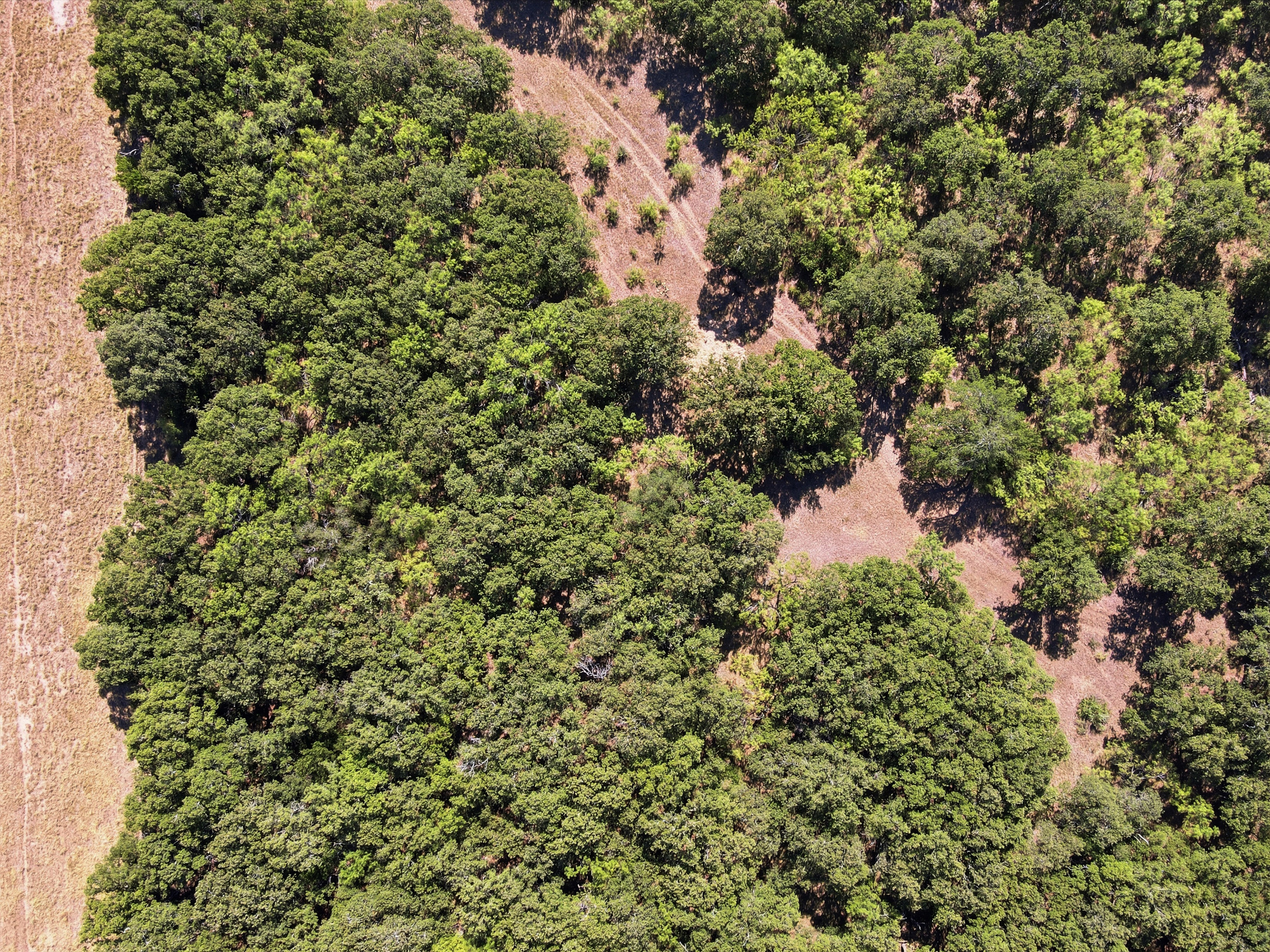  125 Acres of Texas Land for Recreation and Retreat - 物件實景