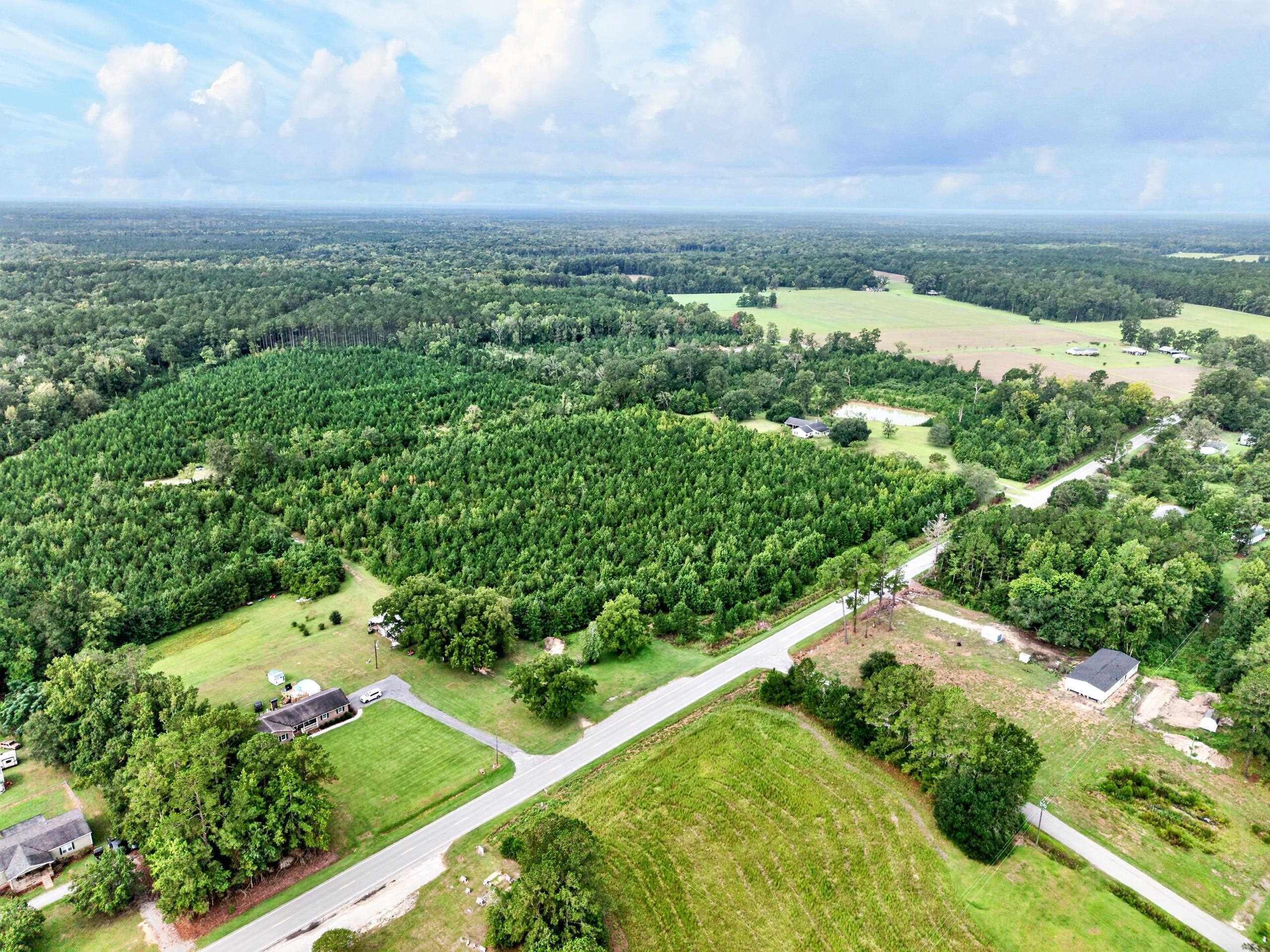  8812 Thurgood Marshall Hwy  Andrews, SC - 物件實景