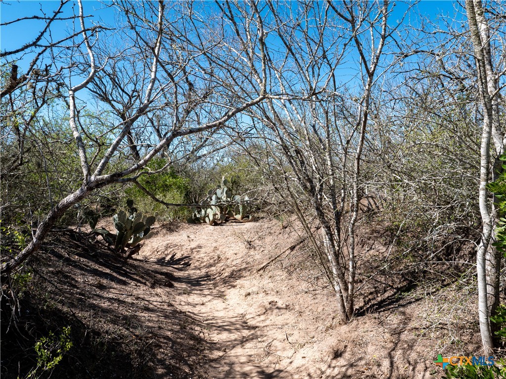 George West, Texas, 78022, United States, ,Land,For Sale,1738703