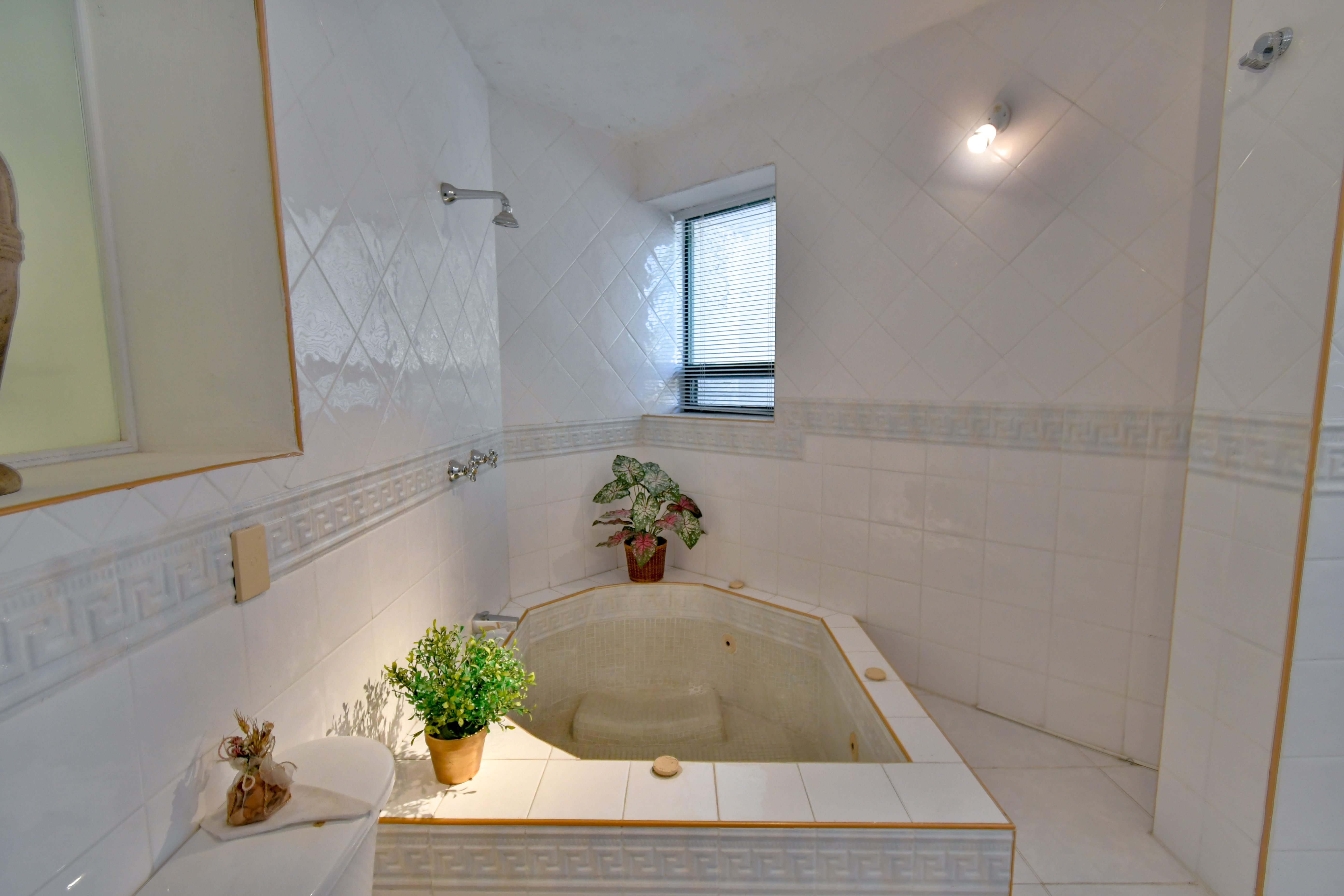  Price Improvement, Residencia Bosque Mediterráneo en Cañadas - 物件實景
