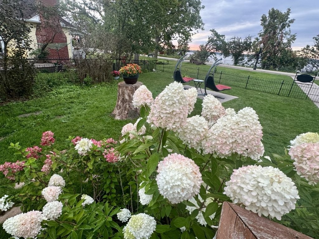 Bemidji, Minnesota, 56601, United States, 6 Bedrooms Bedrooms, ,2 BathroomsBathrooms,Residential,For Sale,2000102