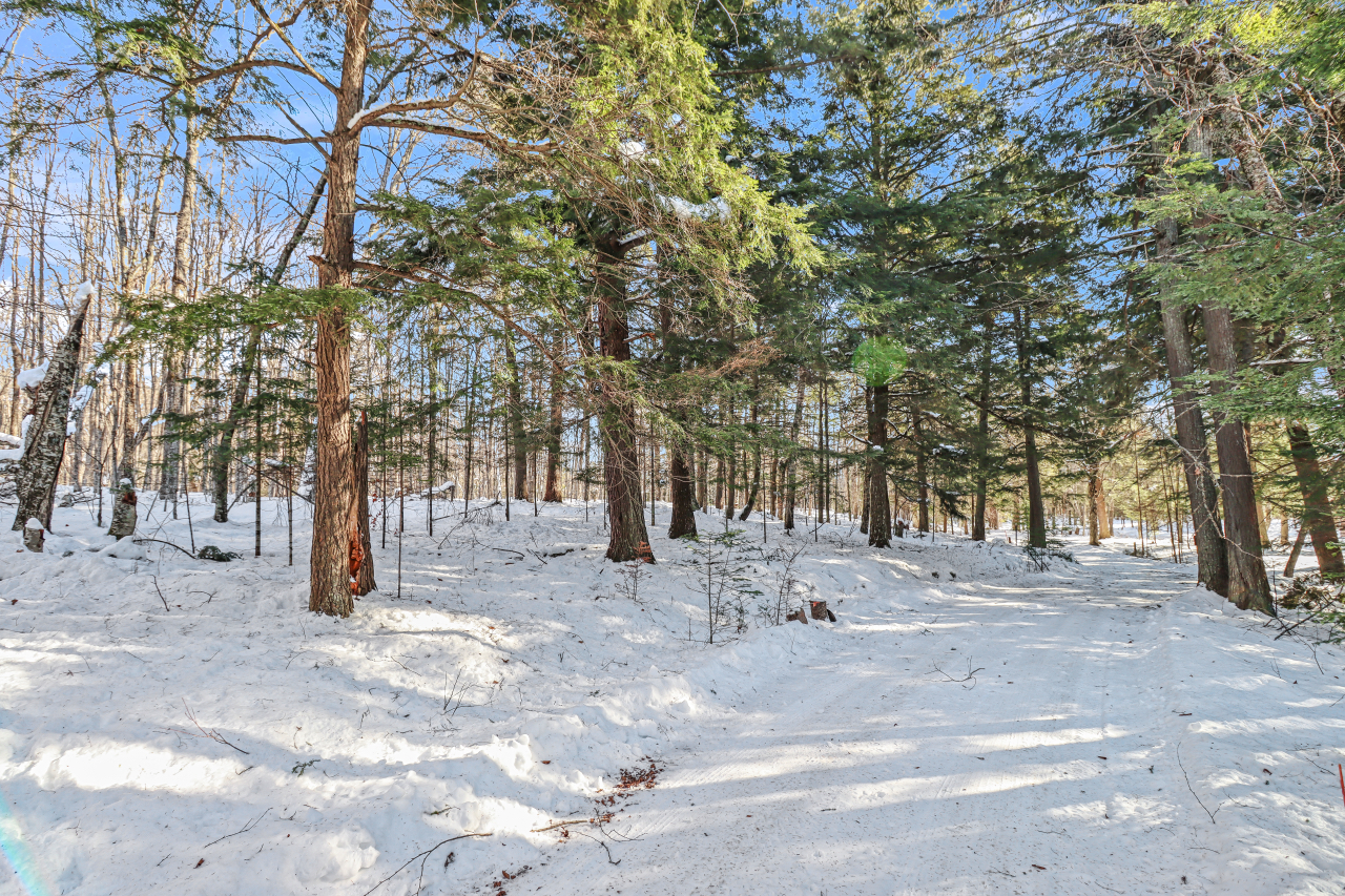 Land O Lakes, Wisconsin, 54540, United States, 3 Bedrooms Bedrooms, ,3 BathroomsBathrooms,Residential,For Sale,2005776