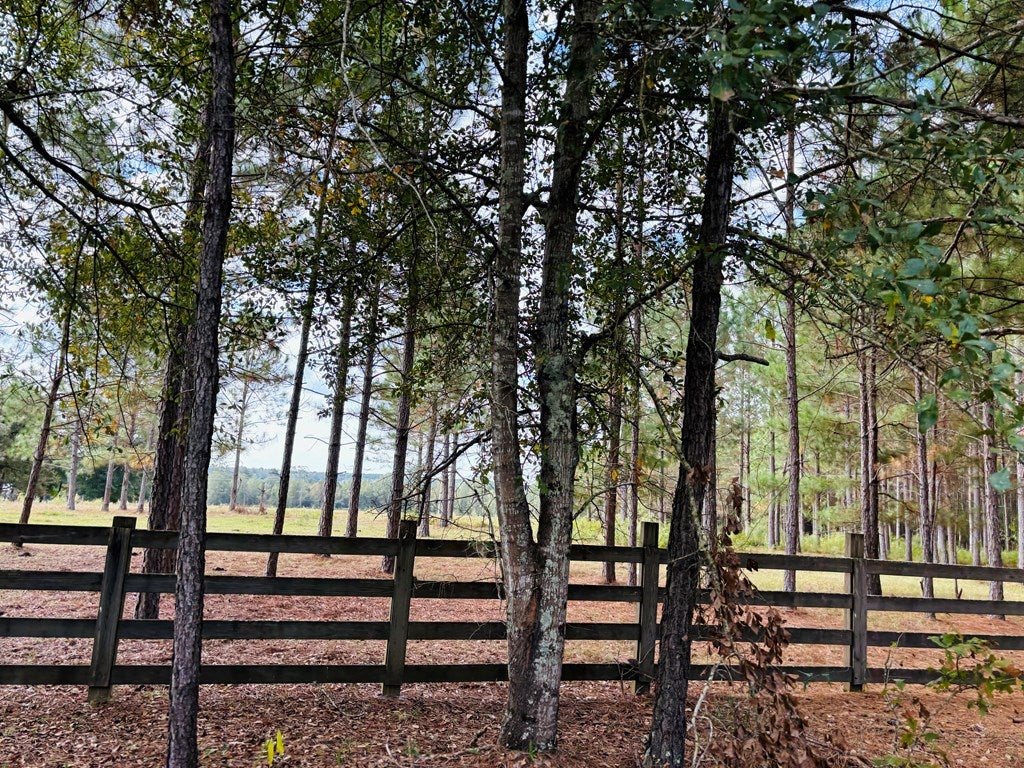 Abbeville, Georgia, 31001, United States, ,Land,For Sale,1975130
