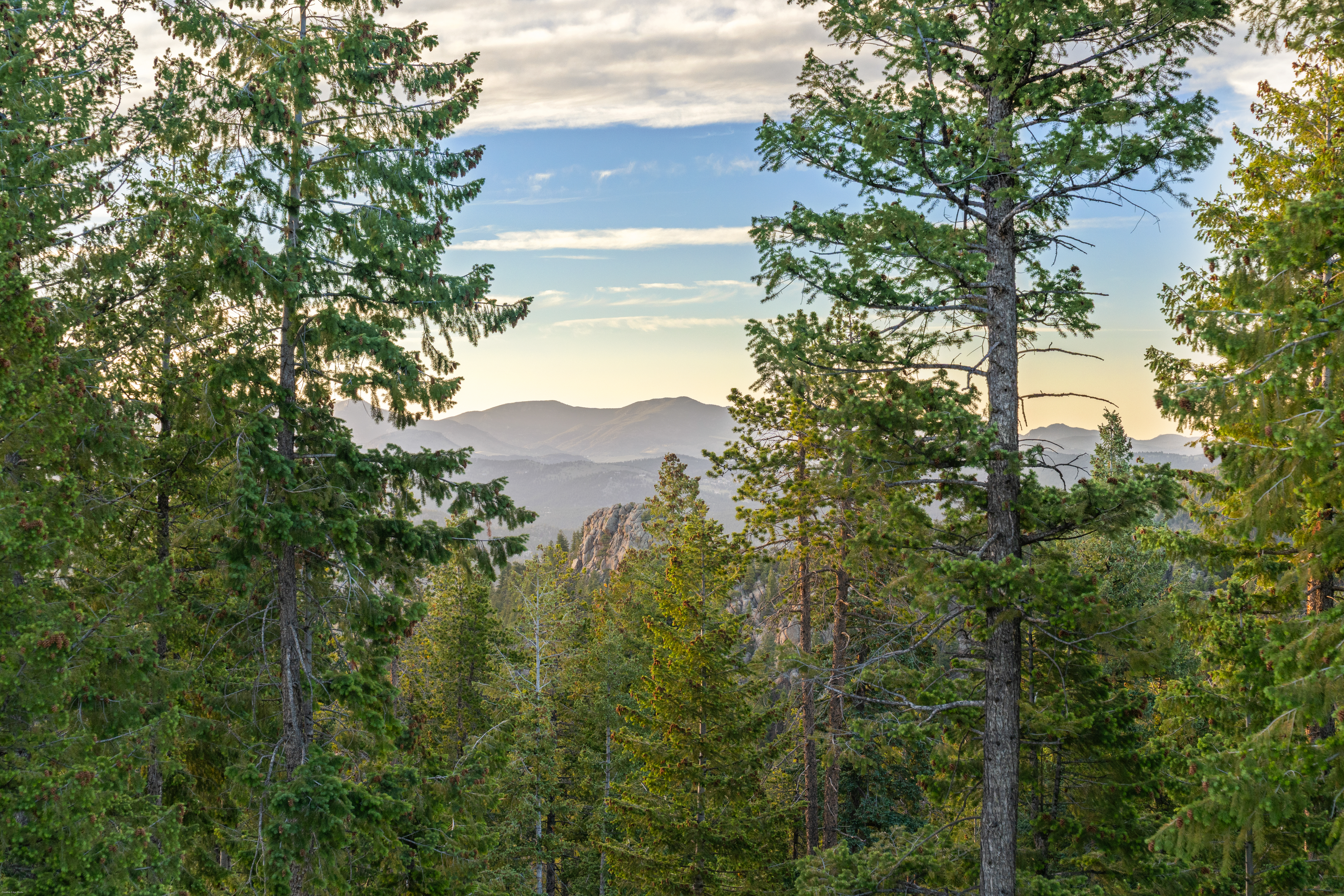  Acreage Available in Evergreen