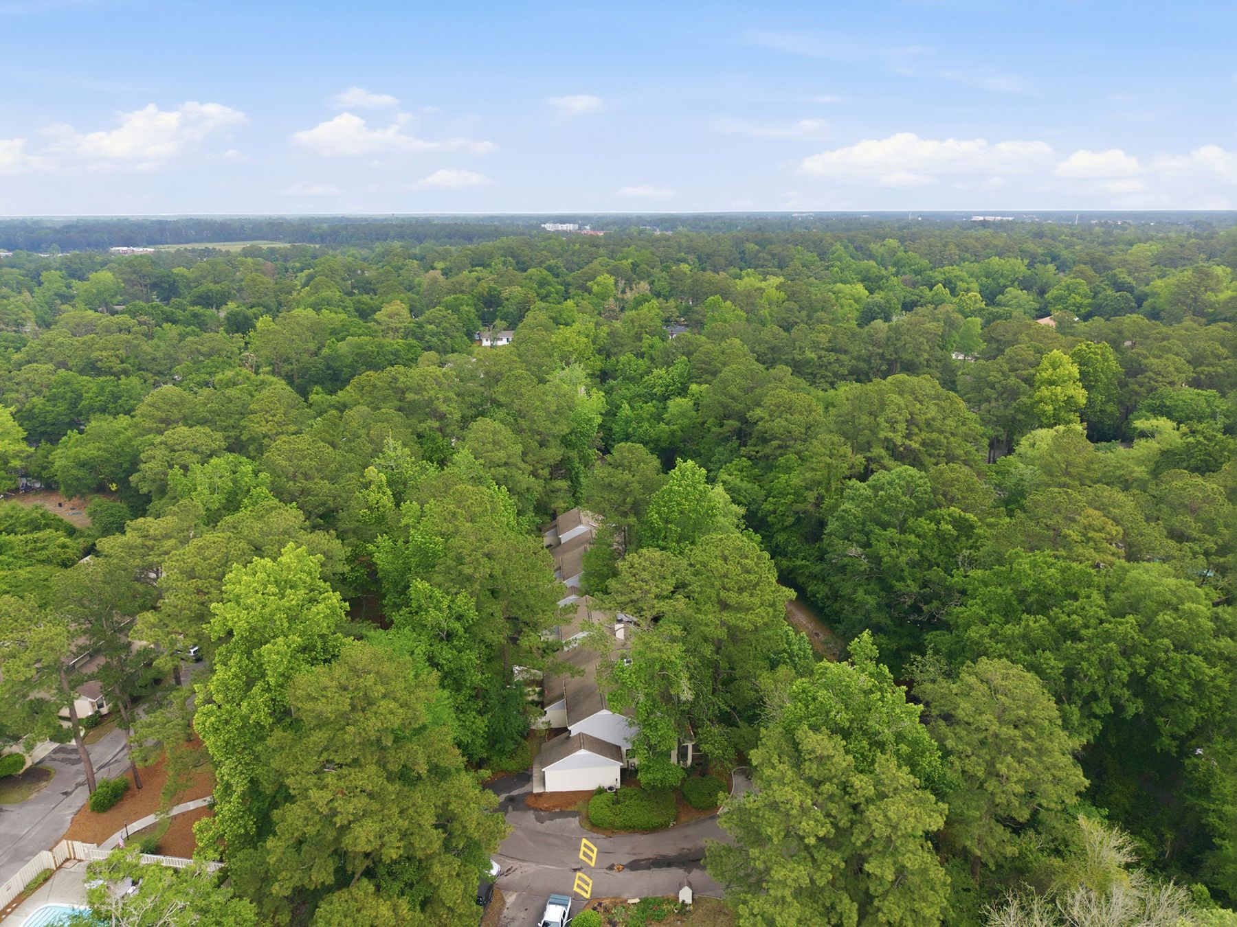  991 Birch Creek Drive, Wilmington, NC 28403 - 物件實景