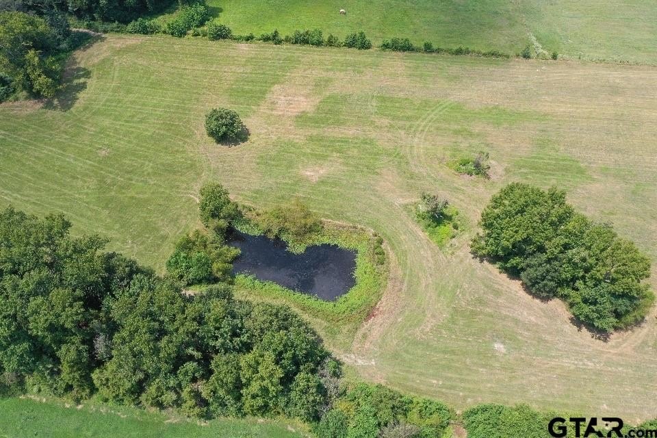 Pittsburg, Texas, 75686, United States, 5 Bedrooms Bedrooms, ,4 BathroomsBathrooms,Residential,For Sale,1978911