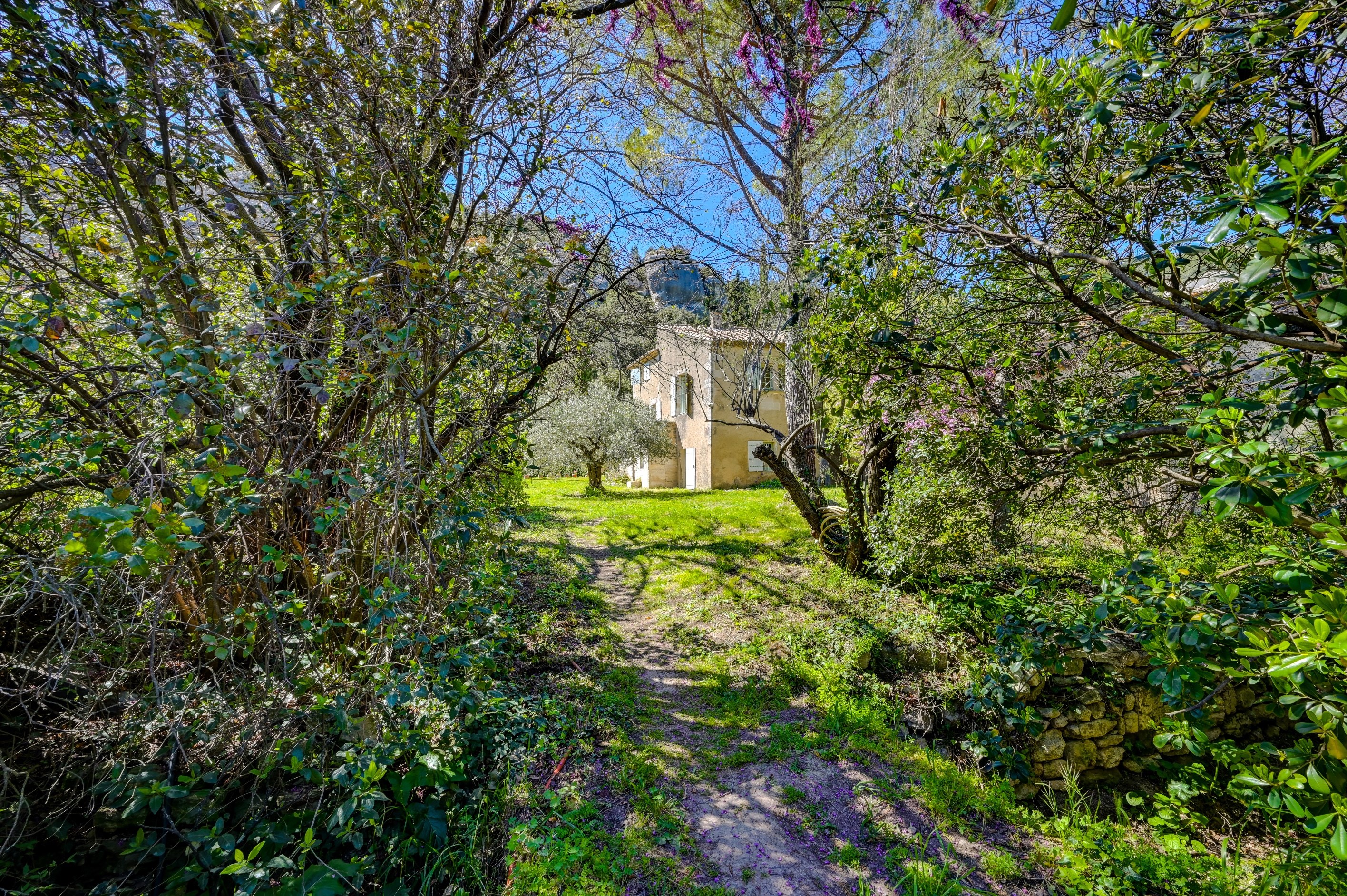 Exclusive. Authentic and charming property located in Les Baux-de-Provence - 物件實景