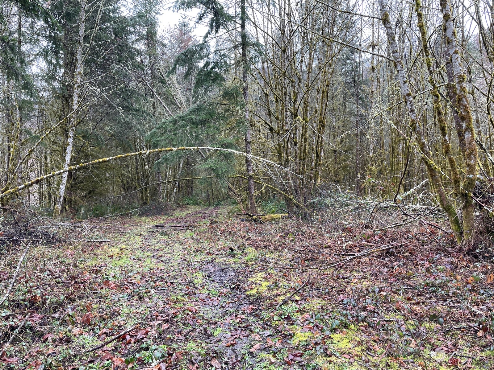 0 Fallert Road, Kalama, Washington, 98625, United States, ,Land,For Sale,0 Fallert Road,1273199