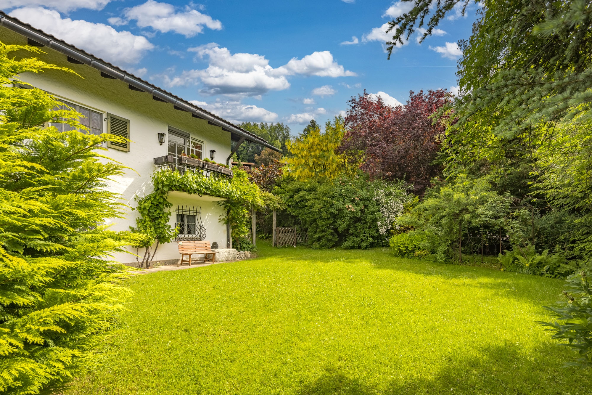 Panorama pur – Traumhaftes Grundstück in ruhiger Sonnenlage - 物件實景