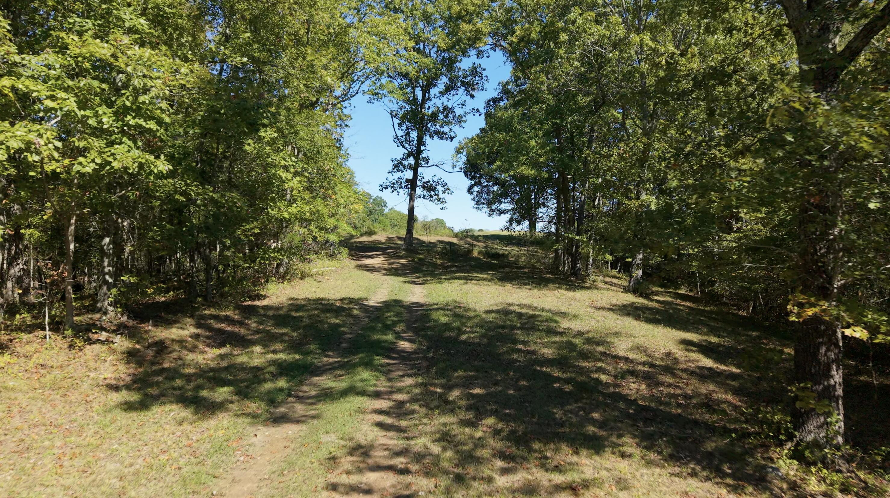 Willisburg, Kentucky, 40078, United States, 4 Bedrooms Bedrooms, ,1 BathroomBathrooms,Residential,For Sale,1962831