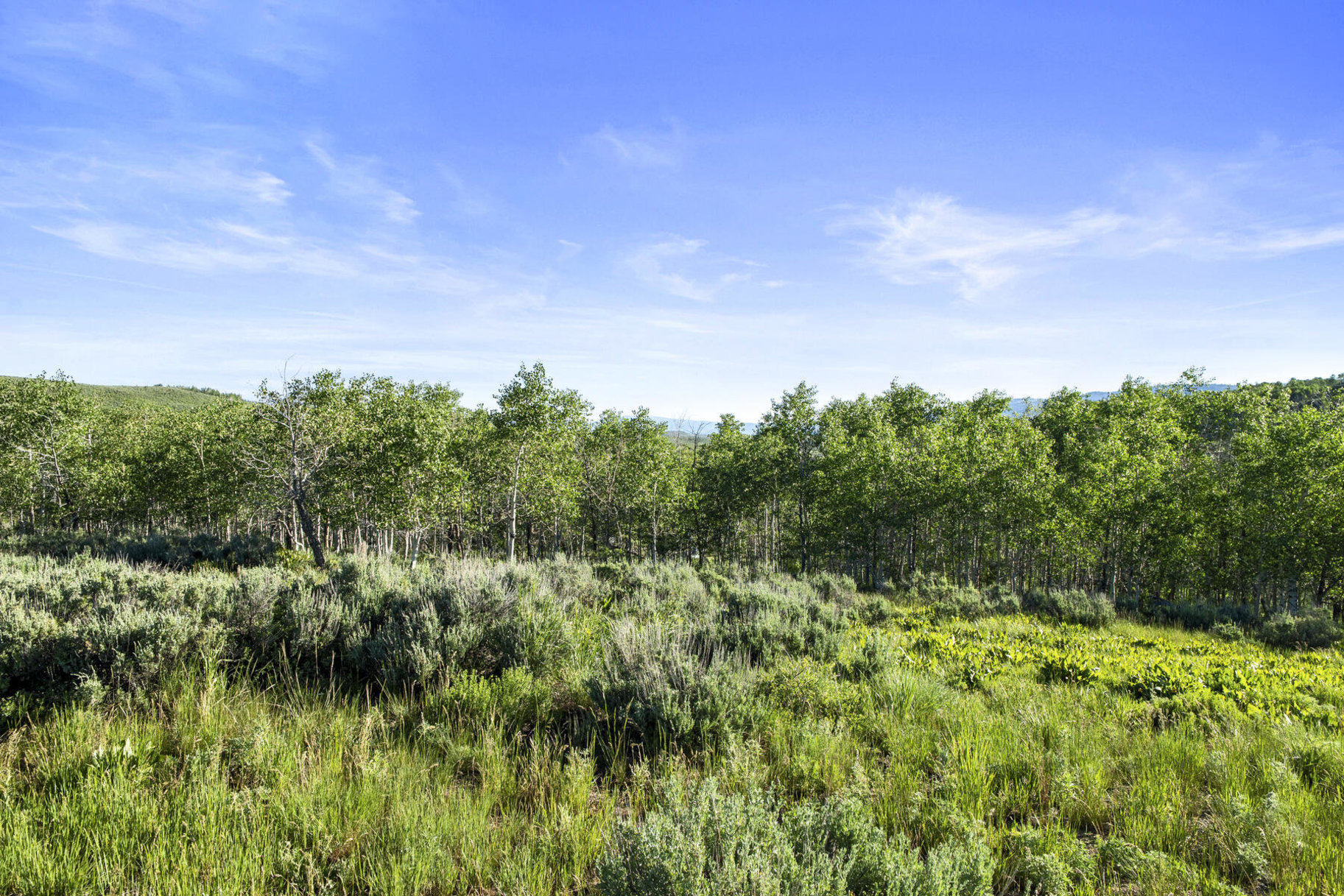  Welcome To Aspen Hill Lodge An Incomparable Luxury Cabin Getaway - 物件實景