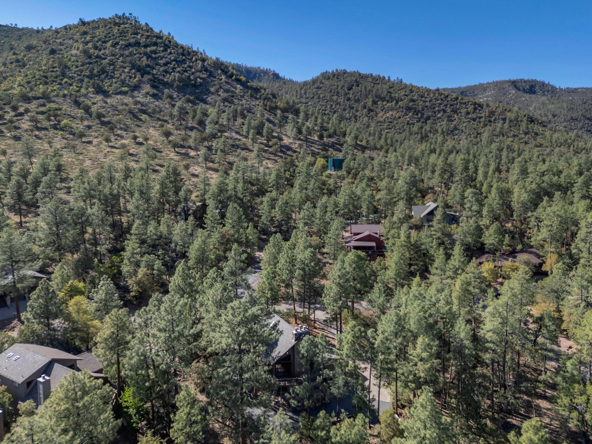Pine, Arizona, 85544, United States, 3 Bedrooms Bedrooms, ,2 BathroomsBathrooms,Residential,For Sale,1828056