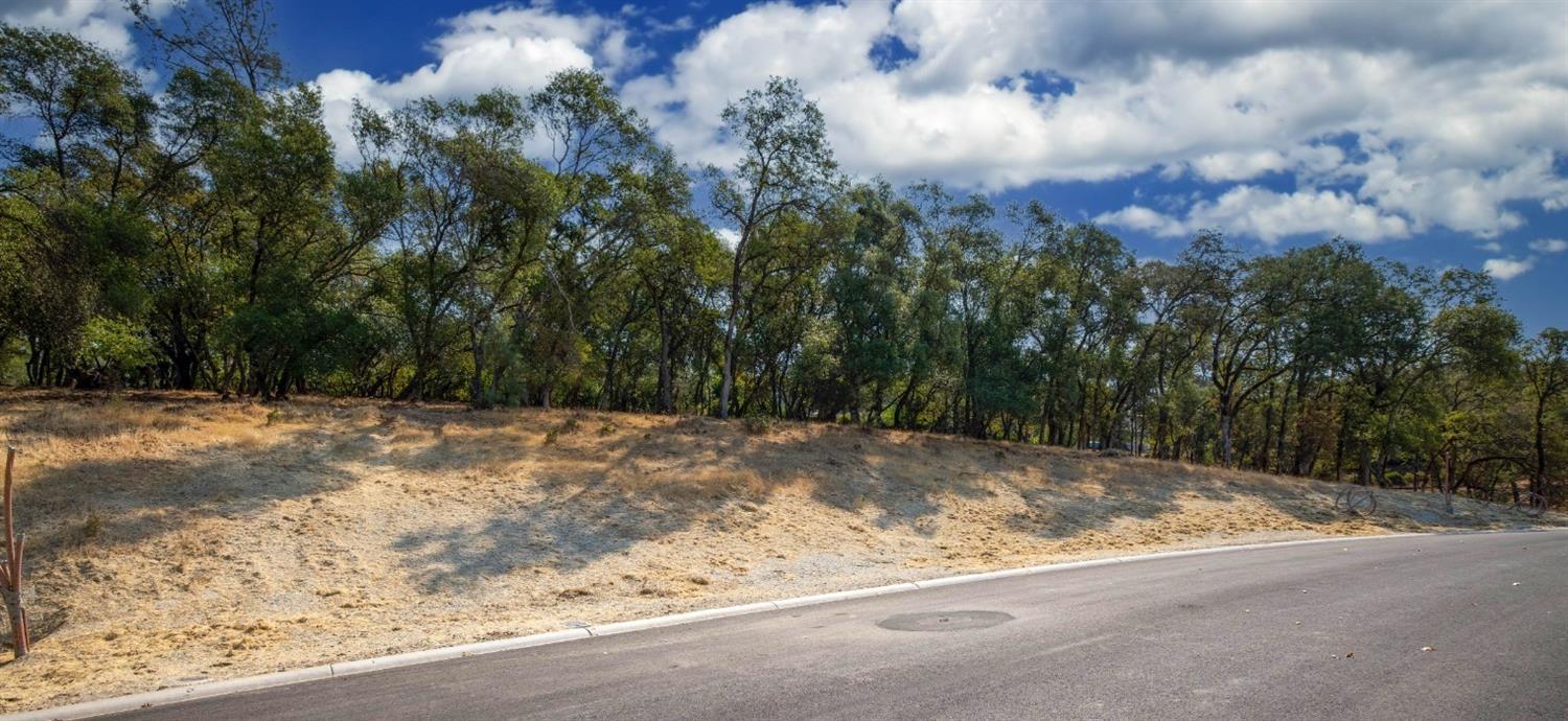 El Dorado Hills, California, 95762, United States, ,Land,For Sale,1993155