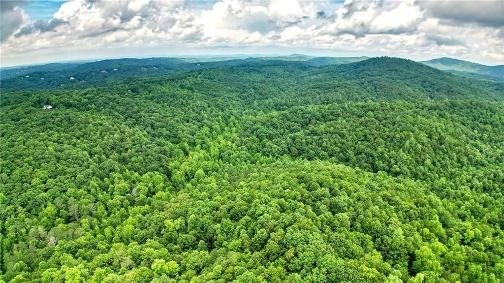 Jasper, Georgia, 30143, United States, ,Land,For Sale,1976881