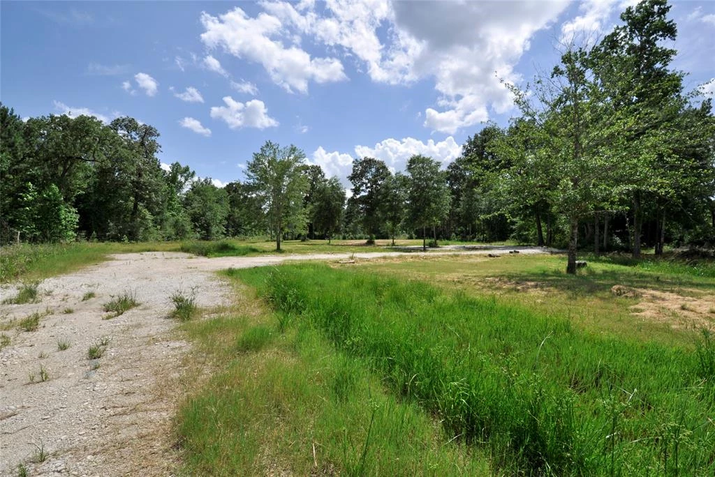 26150 Grand Pines Road, Magnolia, Texas, 77355, United States, ,Land,For Sale,26150 Grand Pines Road,1609479